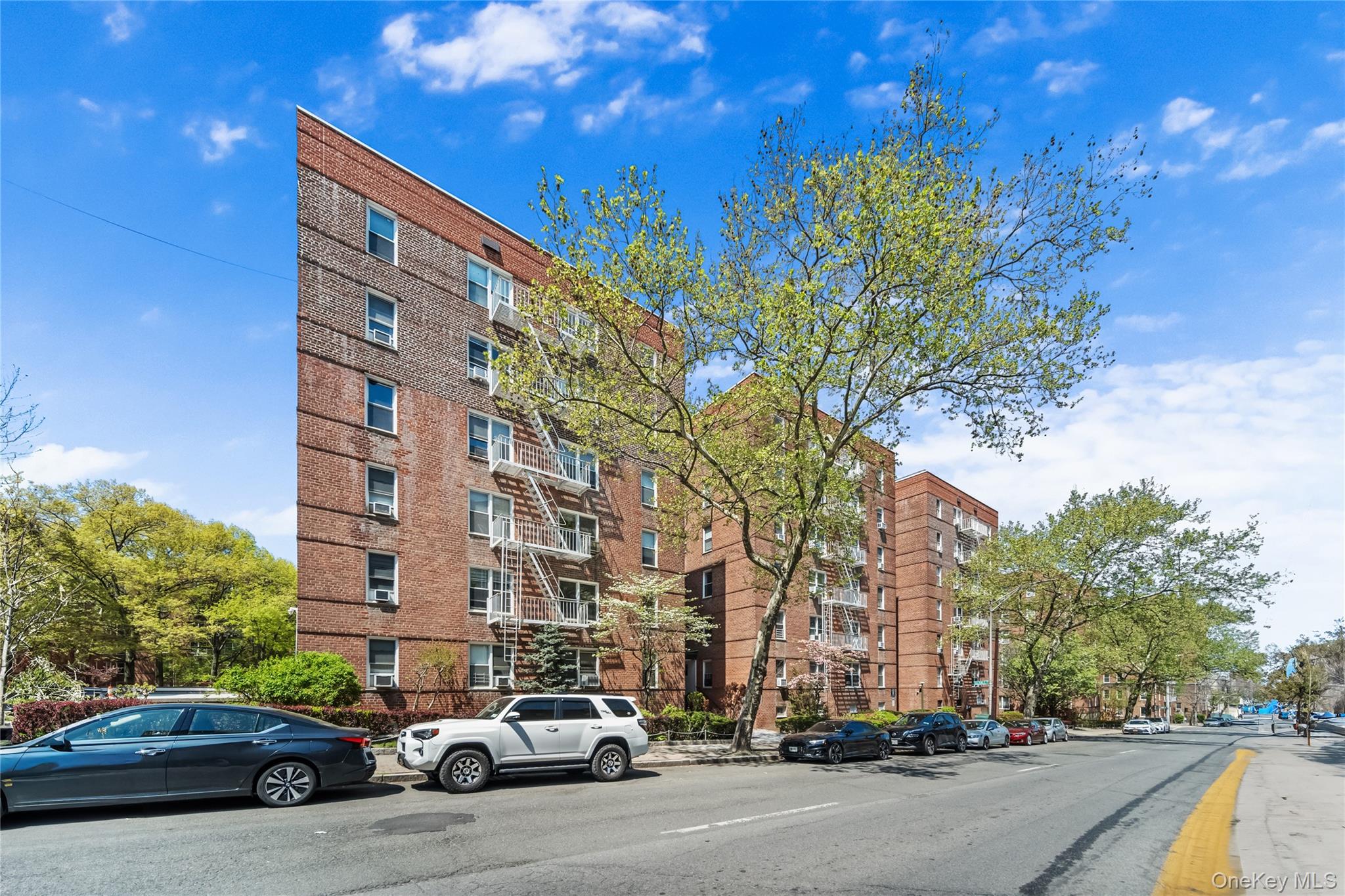 501 Riverdale 4C — photo