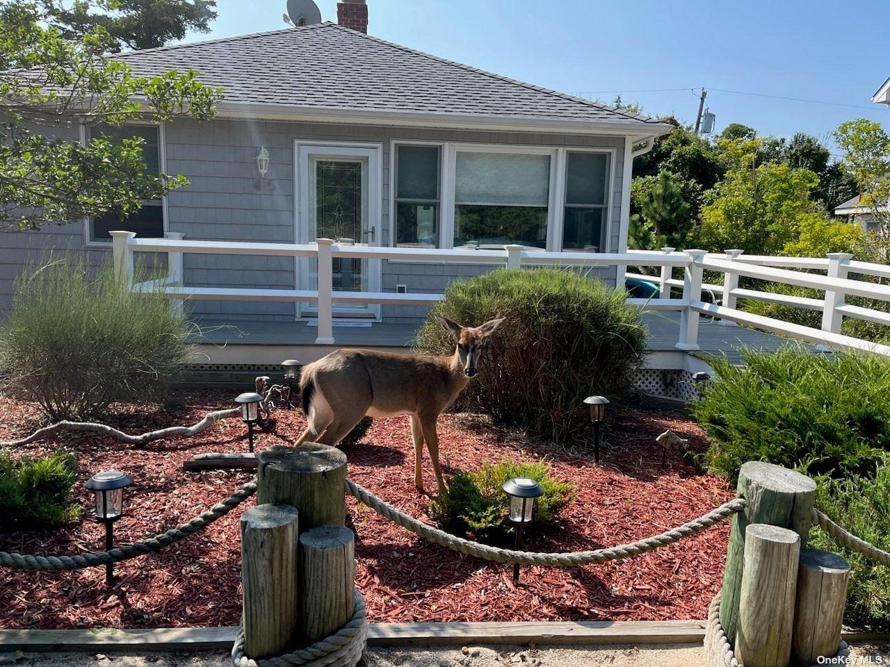 45 Beachwold — photo