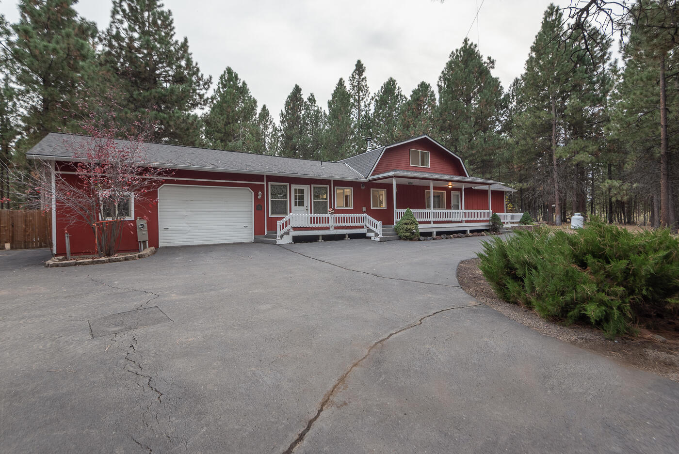 14731 Longleaf Pine — photo