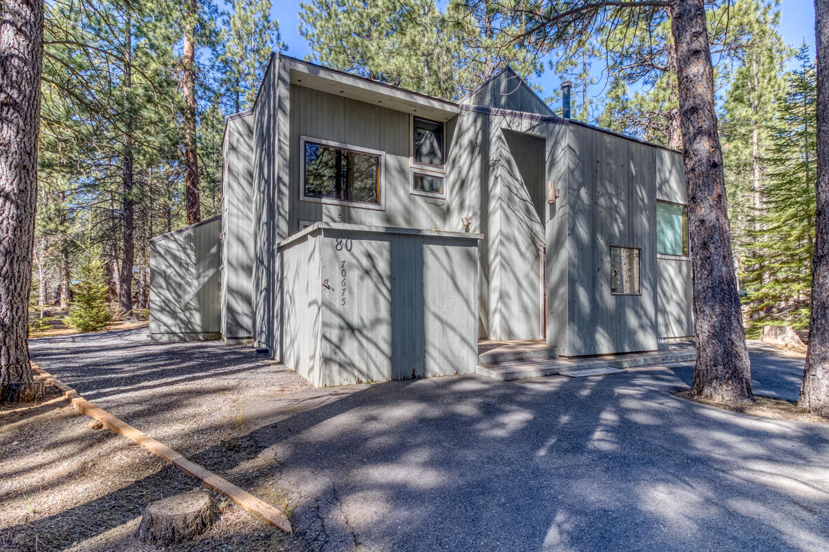 70675 Pasque Flower, Sm80 — photo