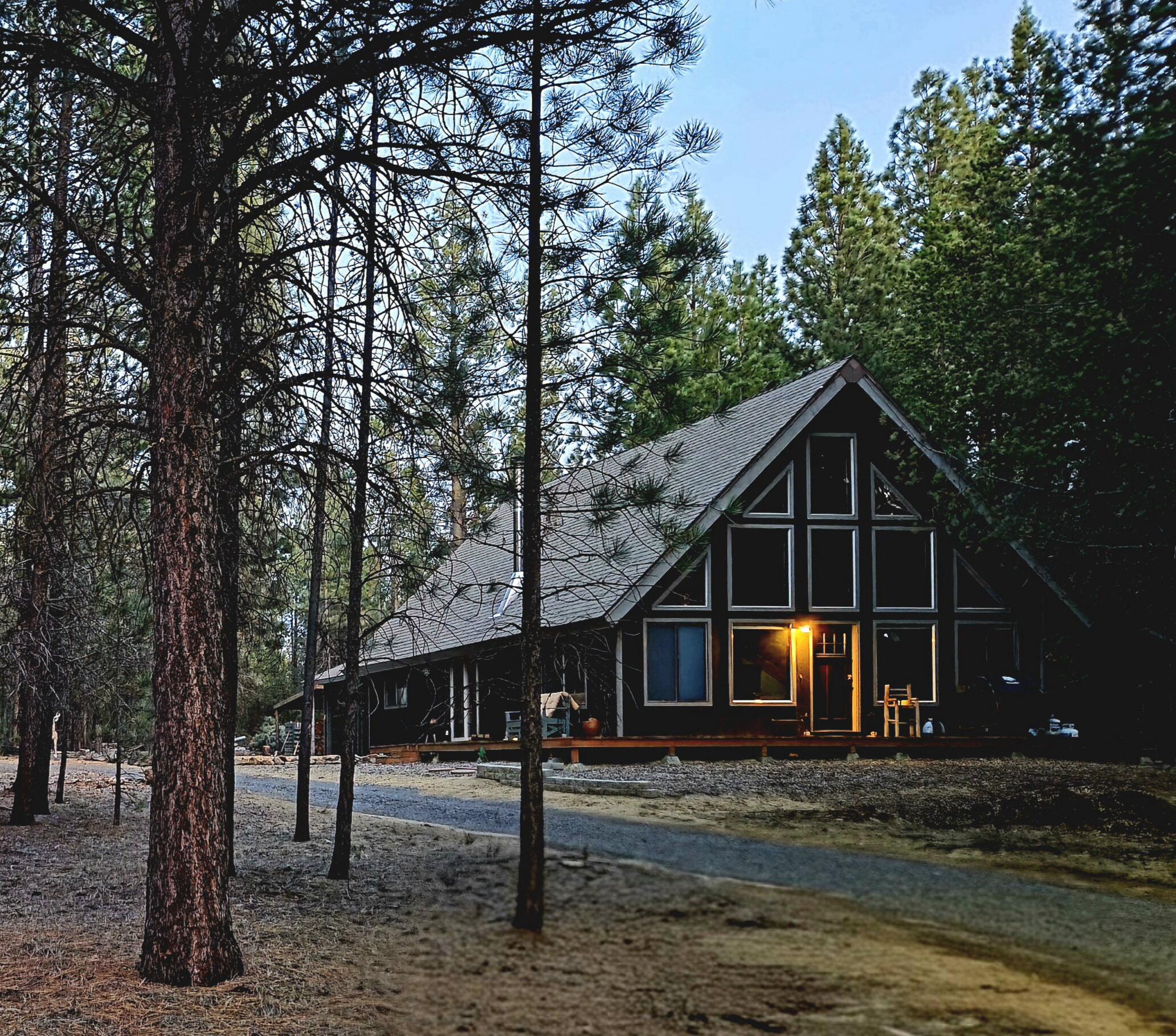 14759 Longleaf Pine — photo