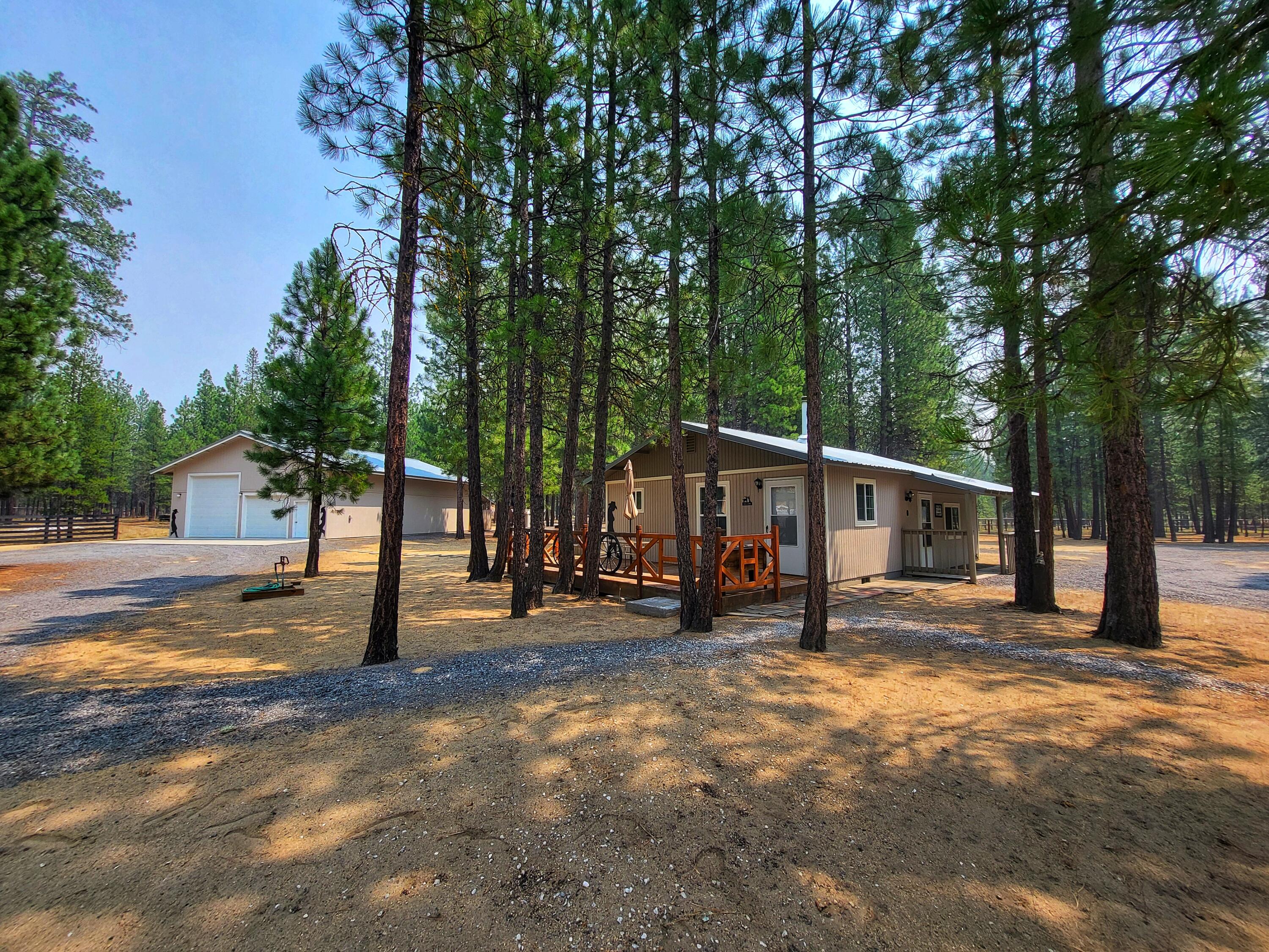 51998 Noble Fir — photo