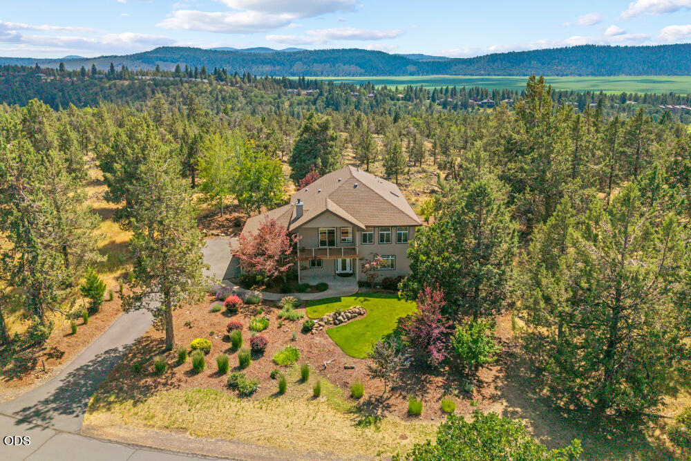 10126 Cinnamon Teal Drive — photo