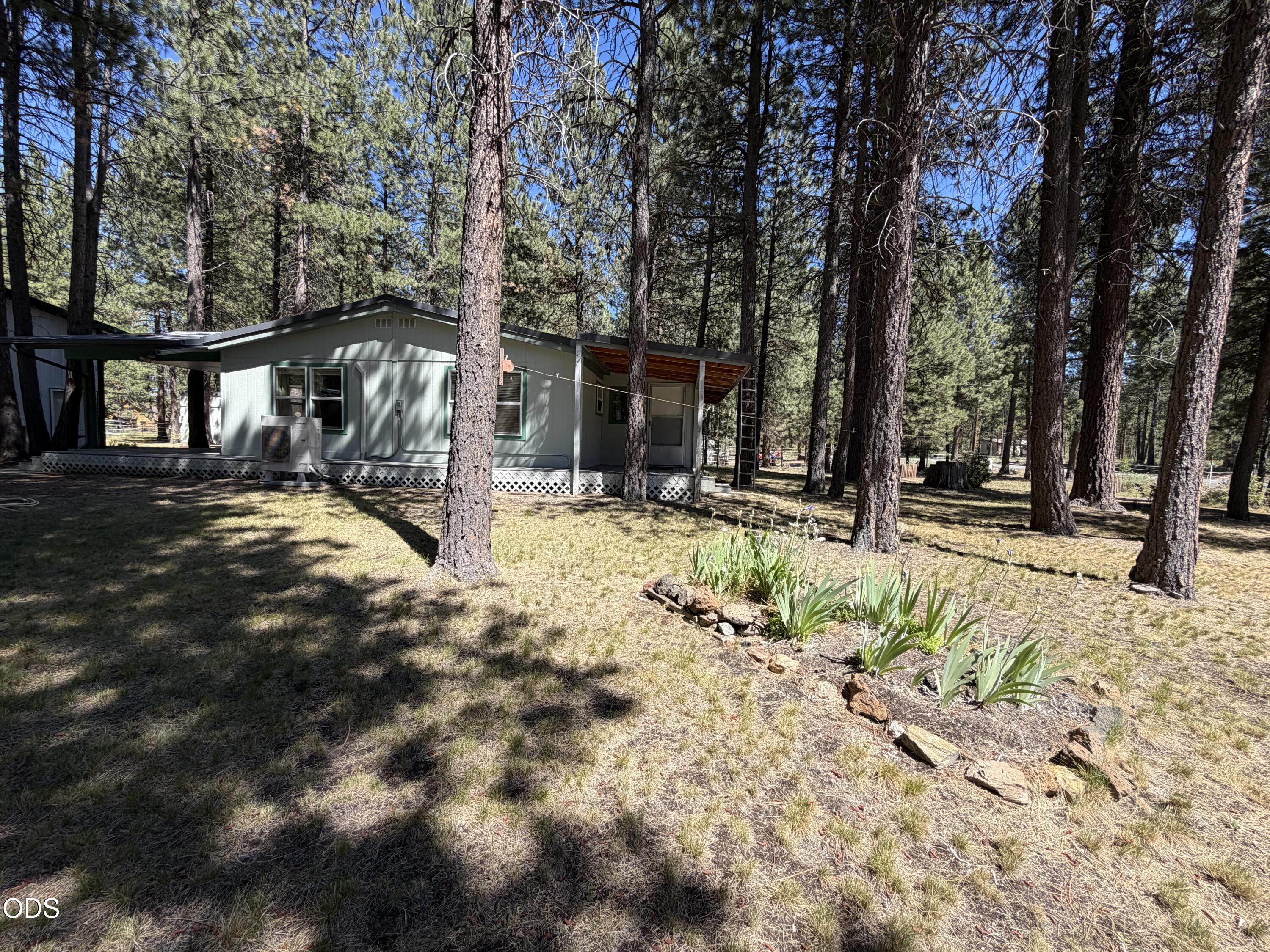 16160 Mountain Sheep Lane — photo