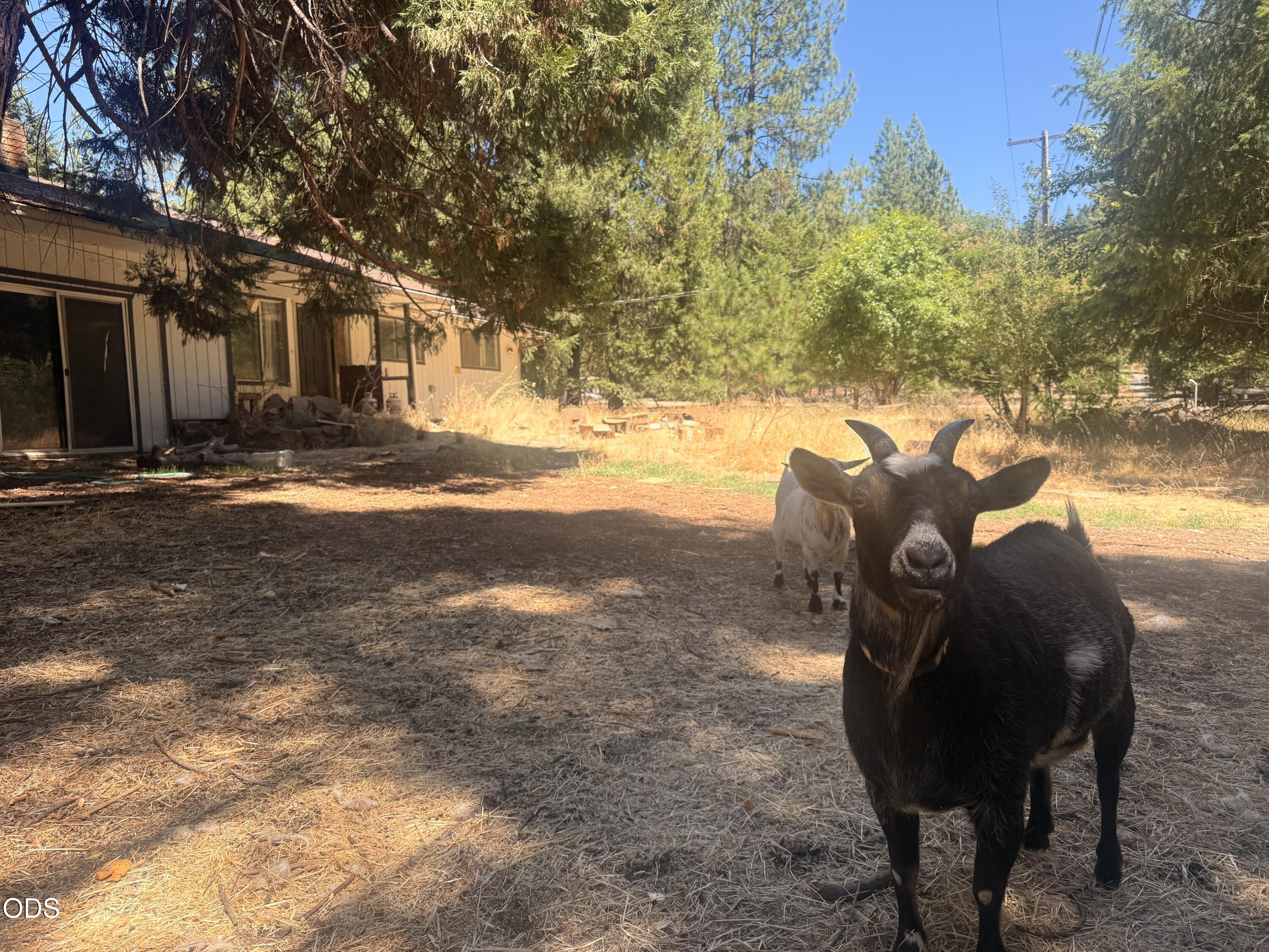 6148 E Evans Creek Road — photo