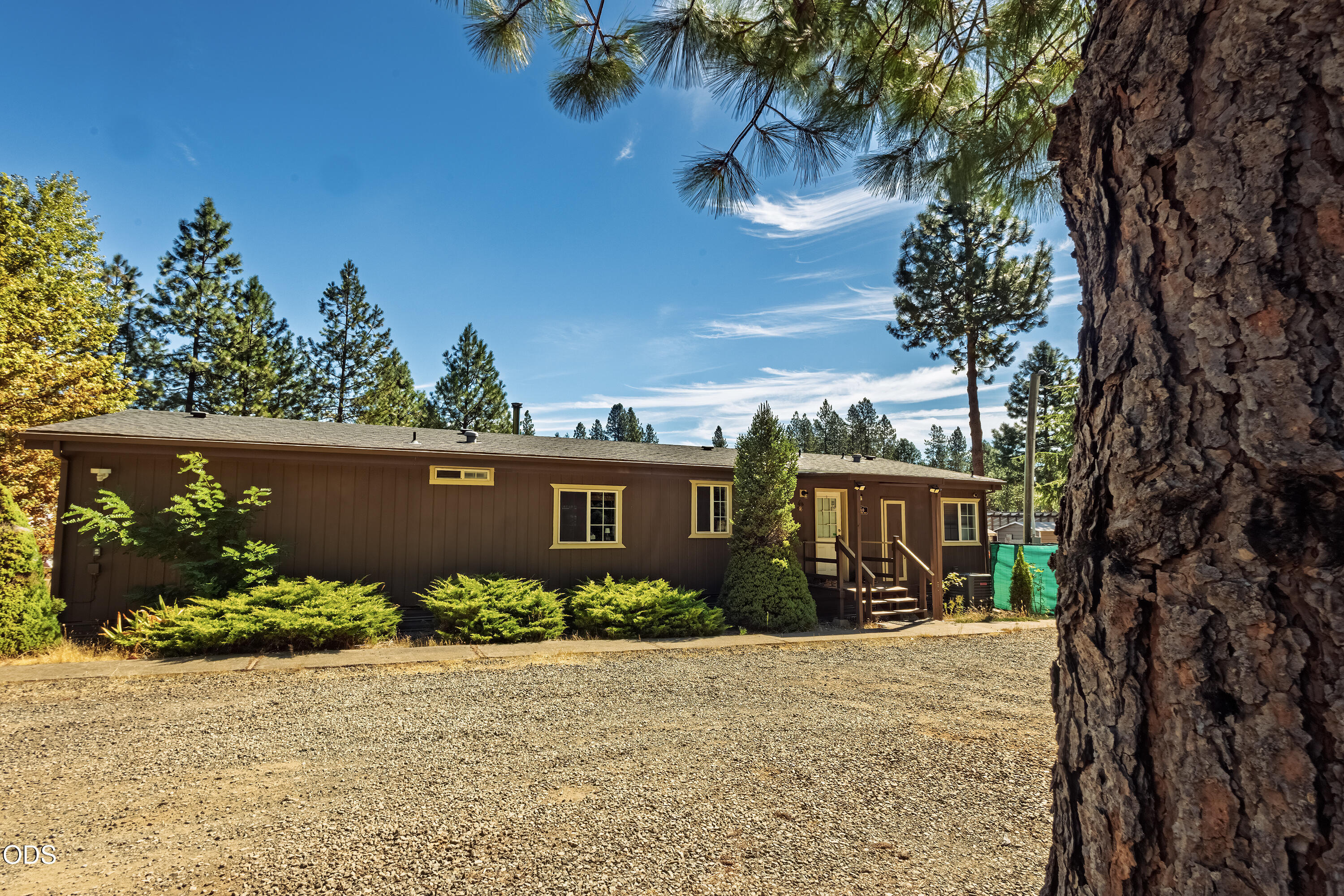 110 Pine Tree Way — photo