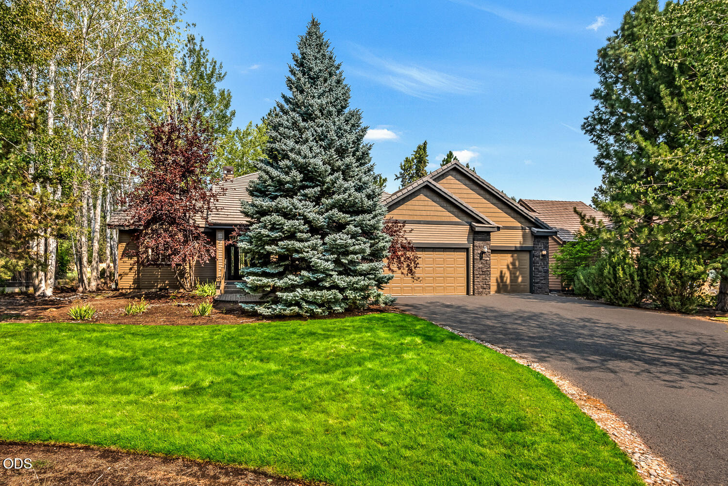 61524 Tam McArthur Loop — photo