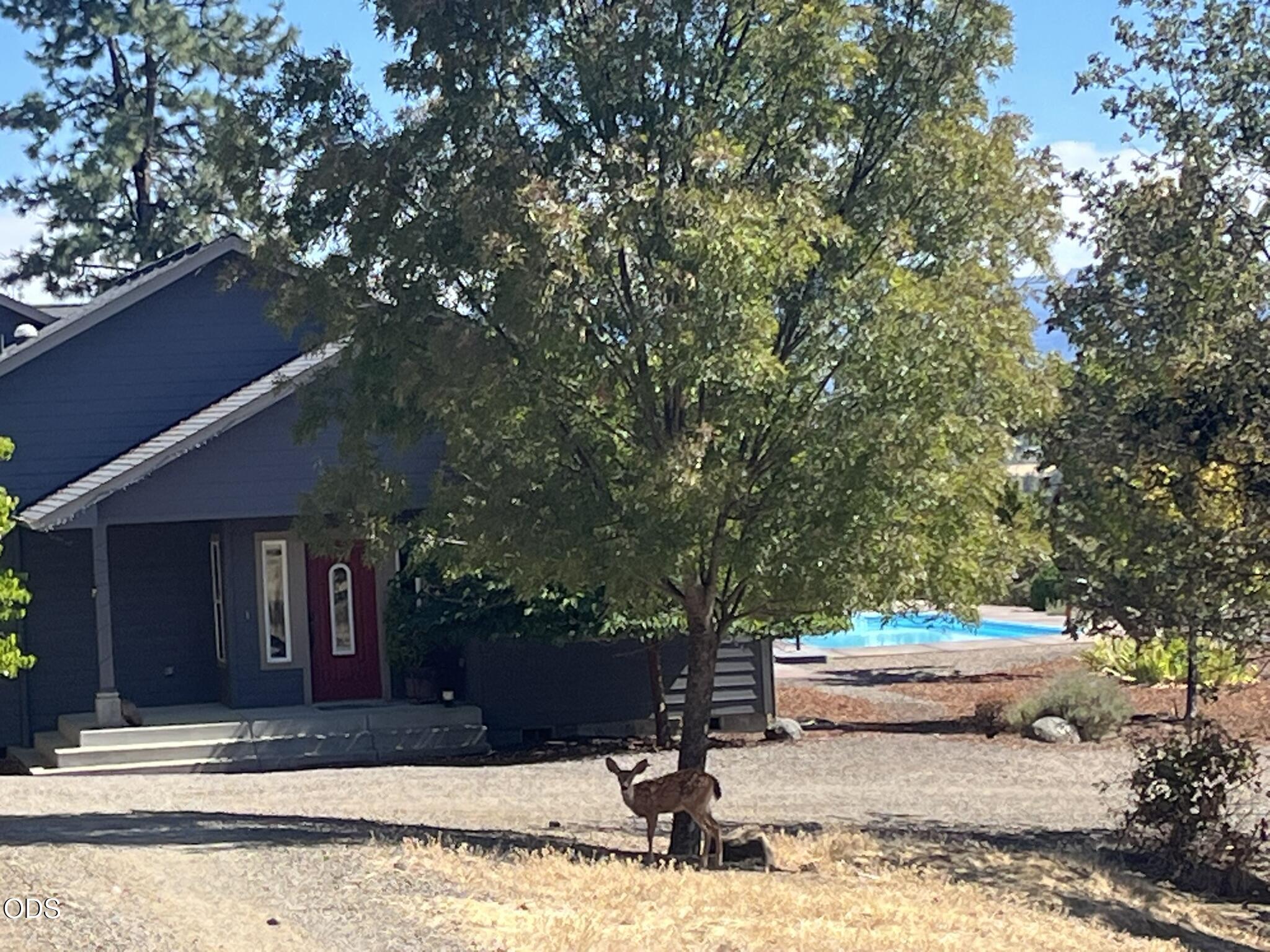158 Rockingham Circle — photo