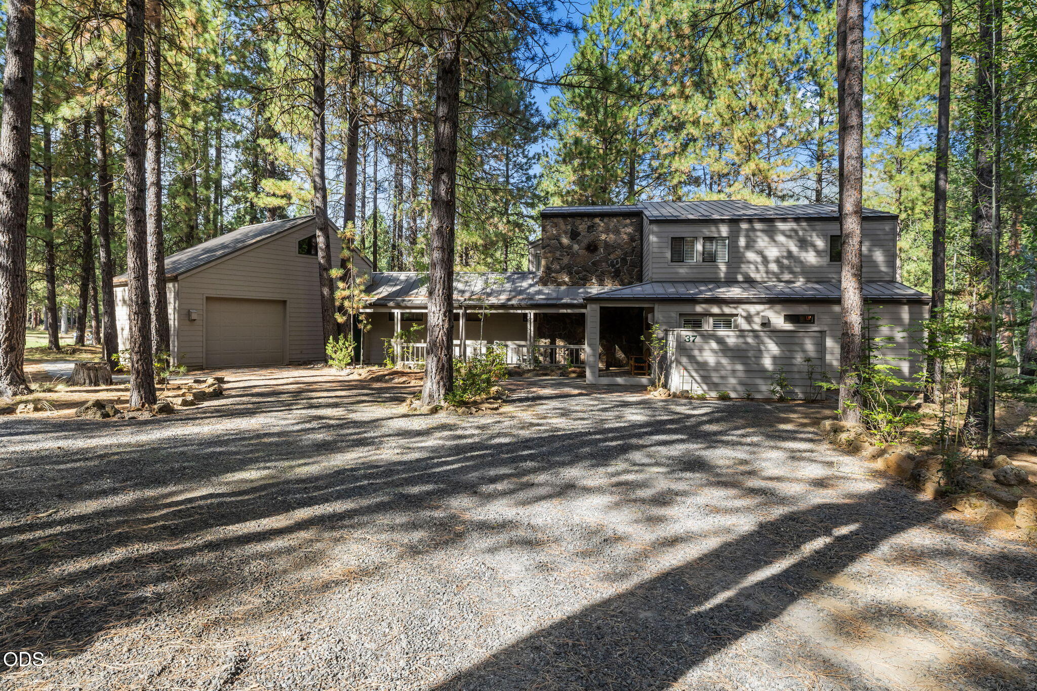 13314 Betony, Gh 37 — photo