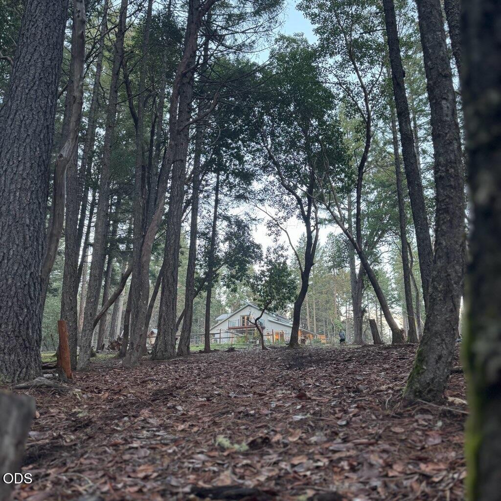 123 Rogue Riffle Drive — photo