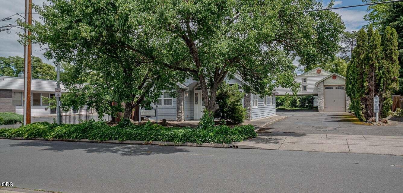 11 Tripp Street — photo
