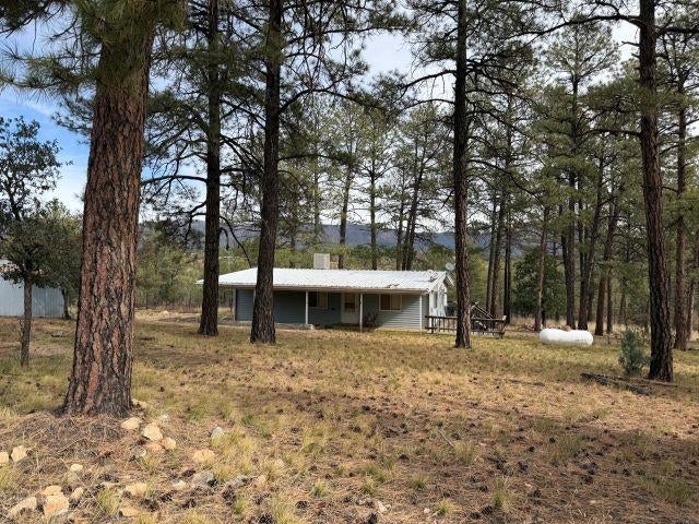 19 Wilson Ct — photo