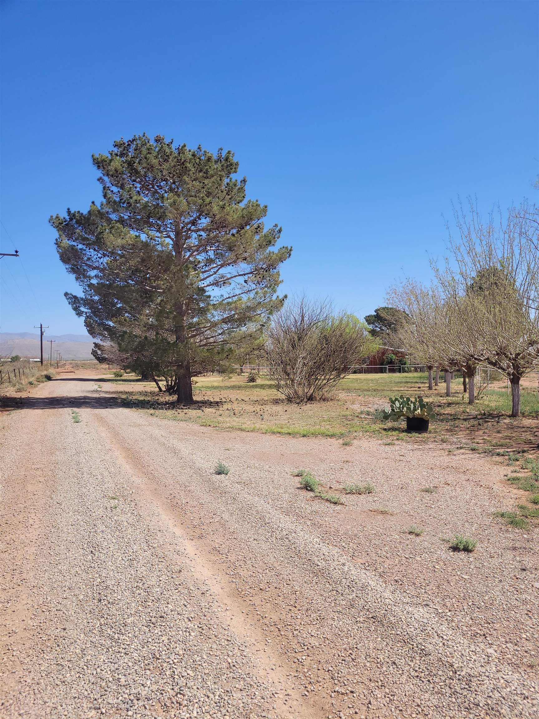 541 Riata Rd, Tularosa, NM 88352 — photo 3