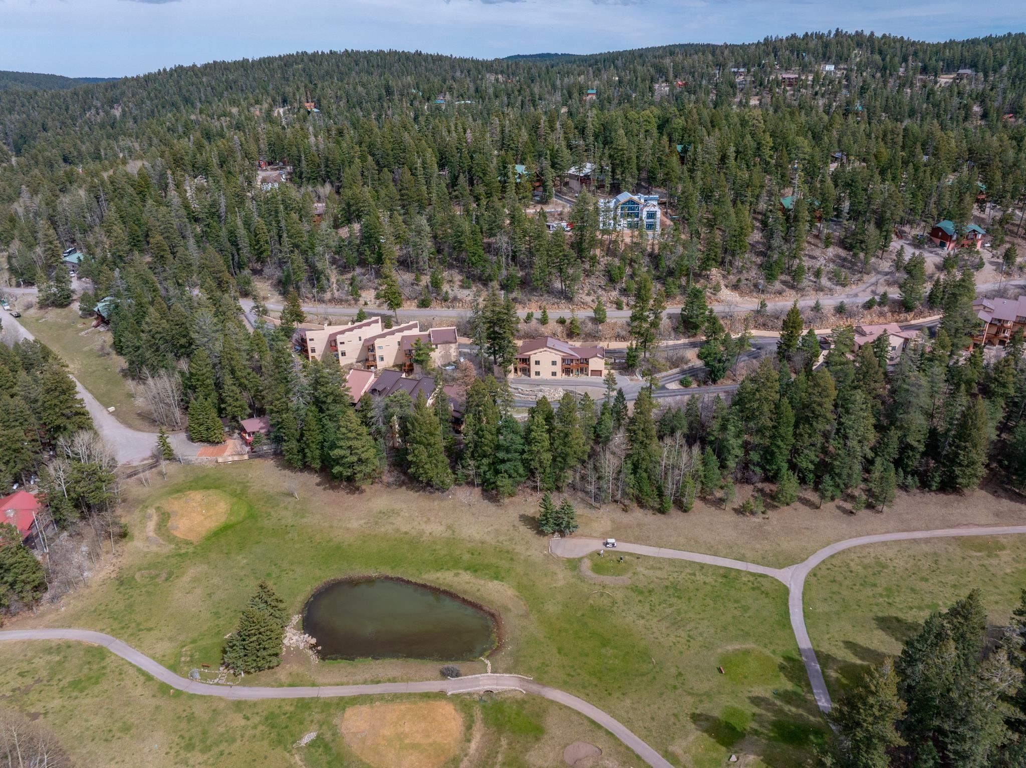 10 Sleepy Bear Loop, Cloudcroft, NM 88317 — photo 3
