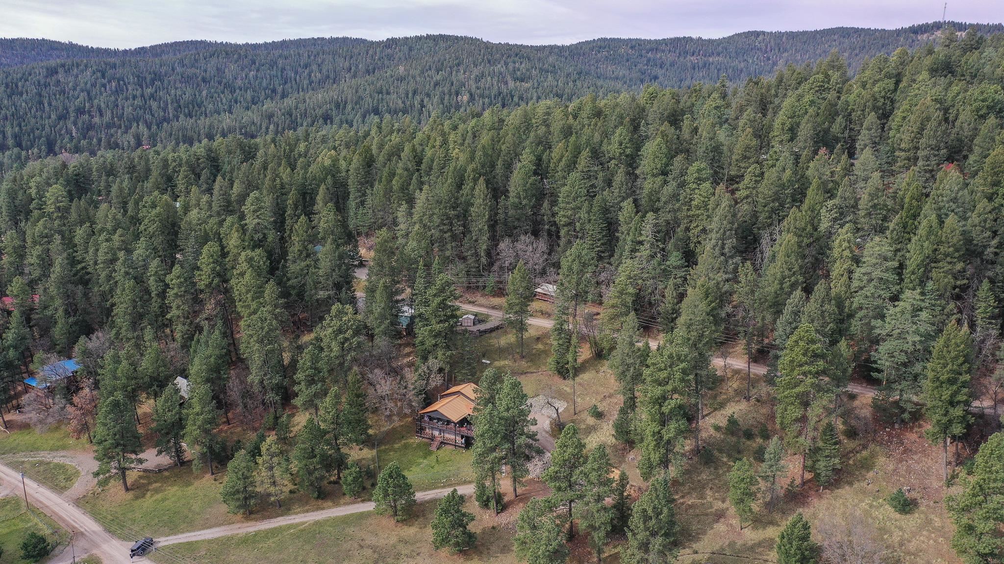 46 Wimsatt Loop, Cloudcroft, NM 88317 — photo 2