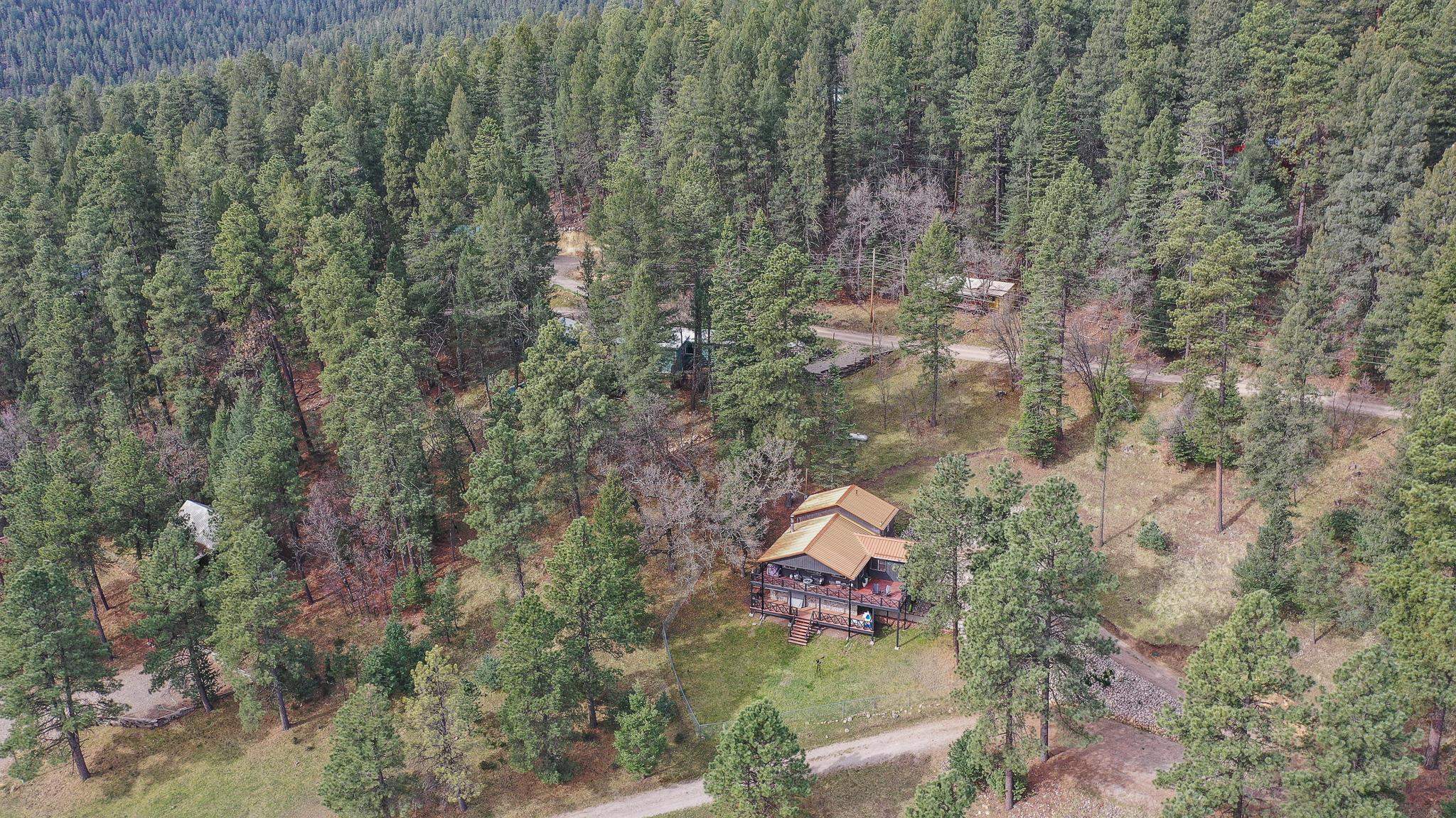 46 Wimsatt Loop, Cloudcroft, NM 88317 — photo 3