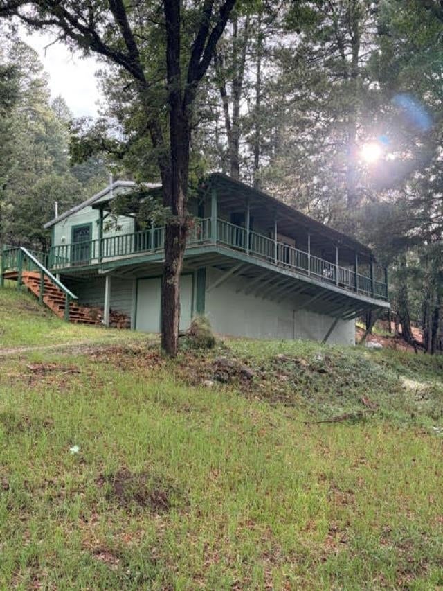 4 Sherwood Forest — photo