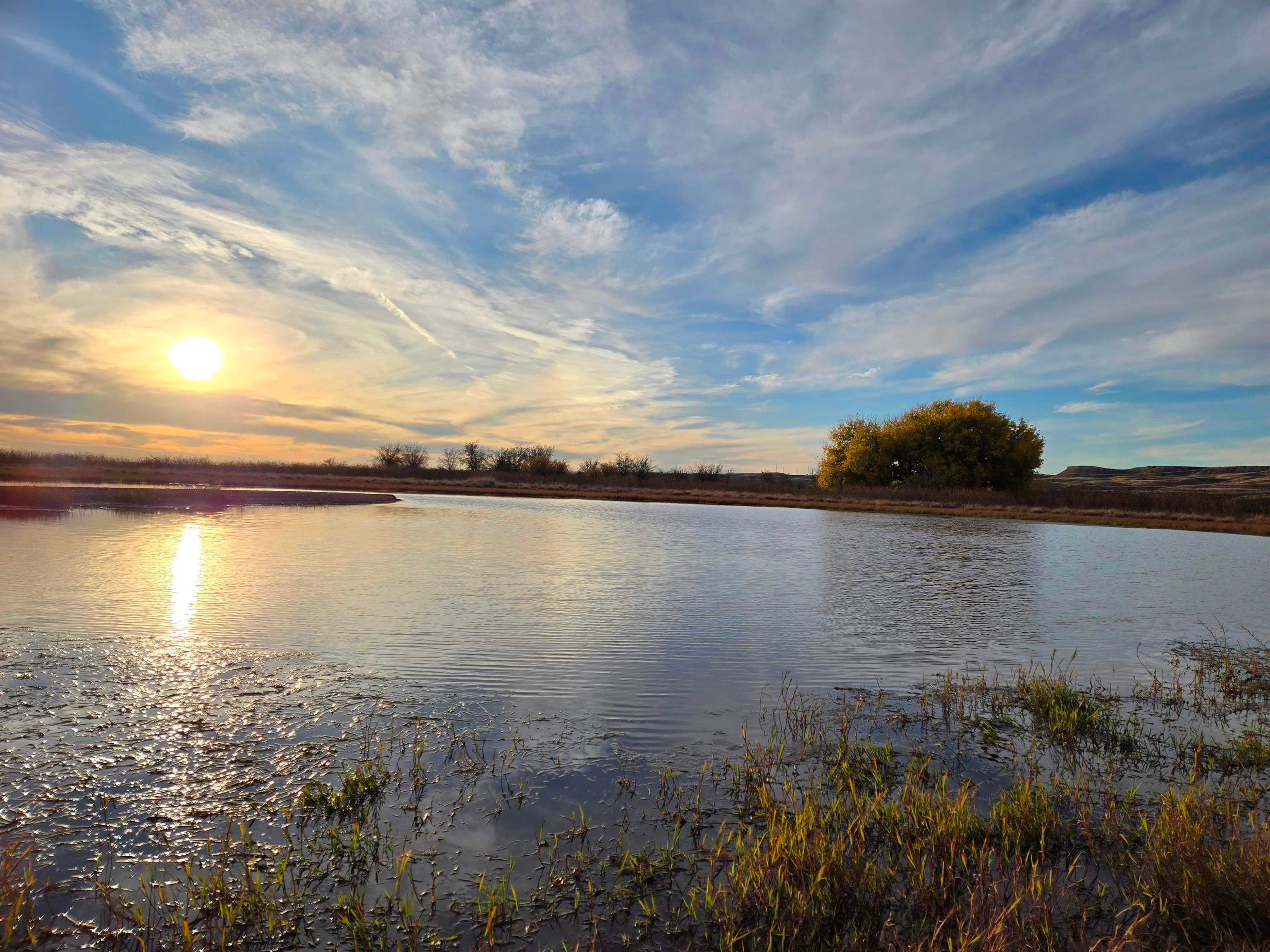 5344 Red Lake Rd, Fort Sumner, NM 88119