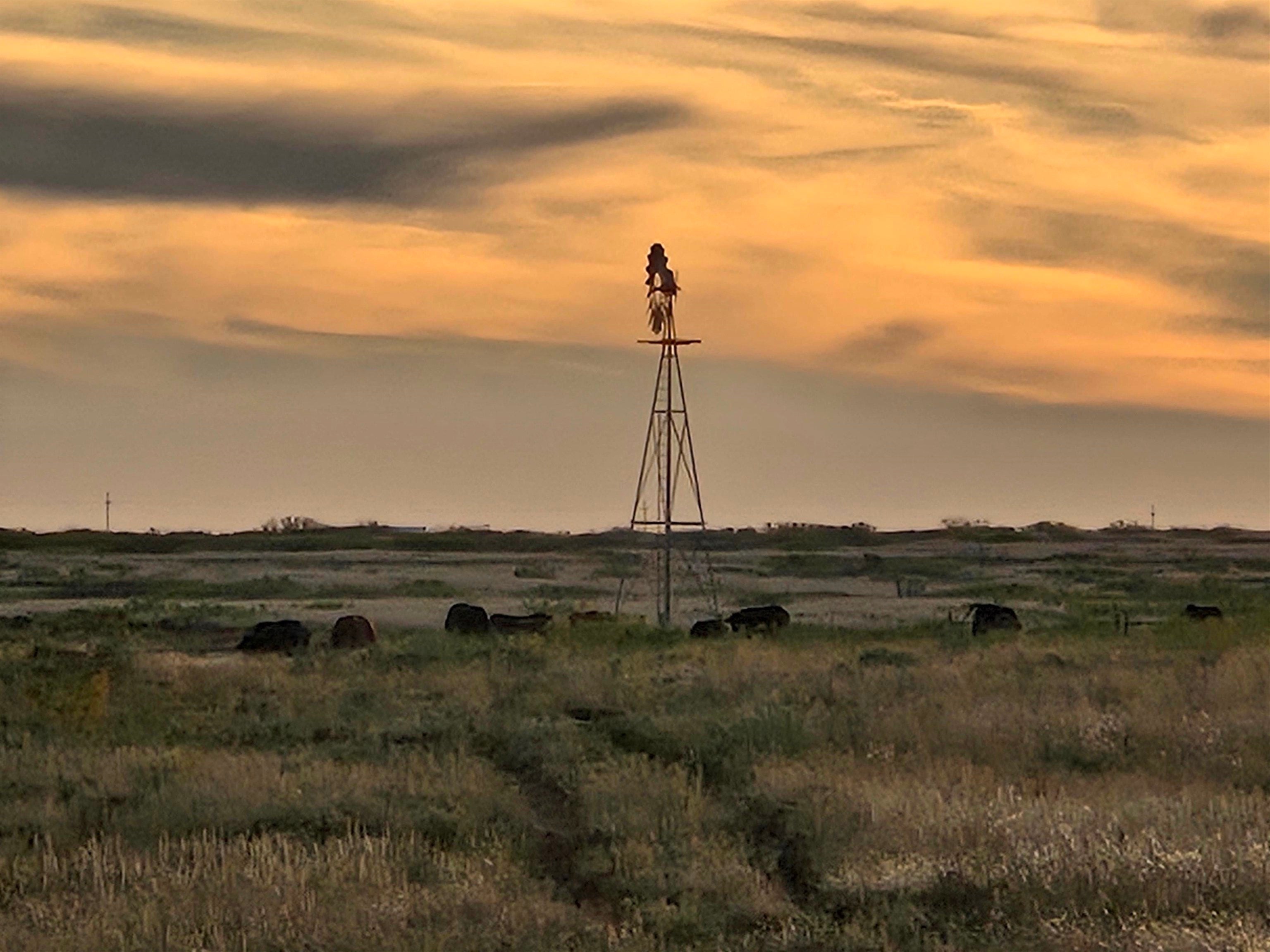 5344 Red Lake Rd, Fort Sumner, NM 88119 — photo 2
