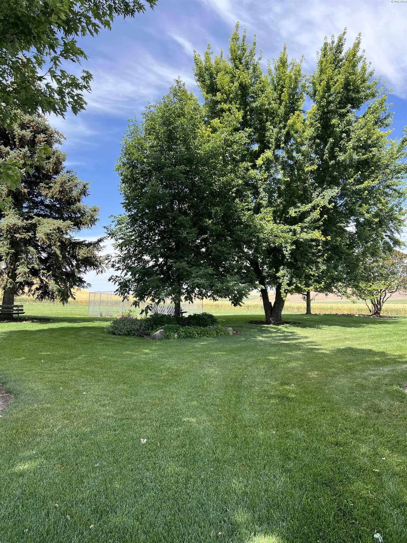 2401 Conrad Road, Colfax, WA 99111 — photo 3