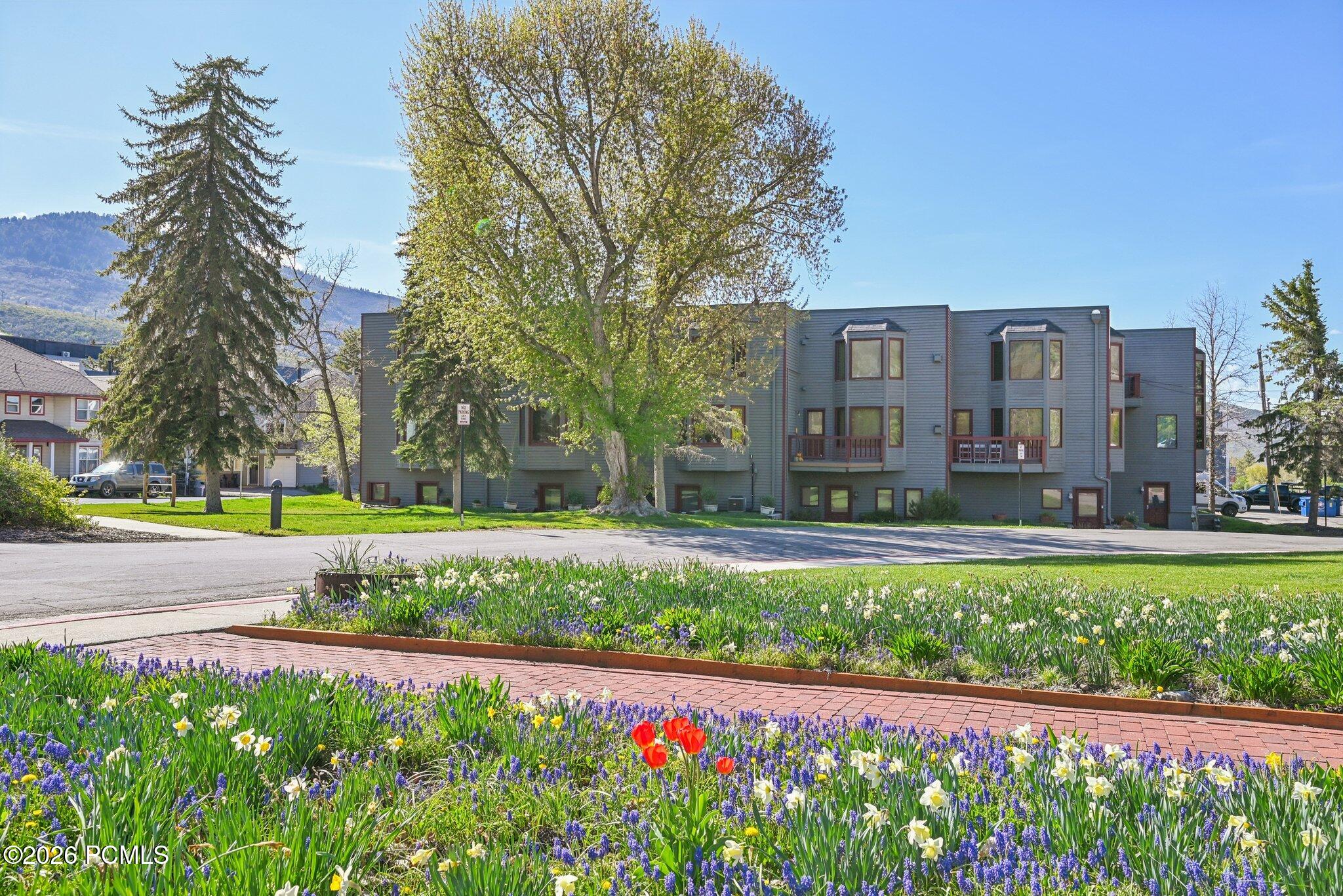 1378 Park Avenue Unit 3 — photo