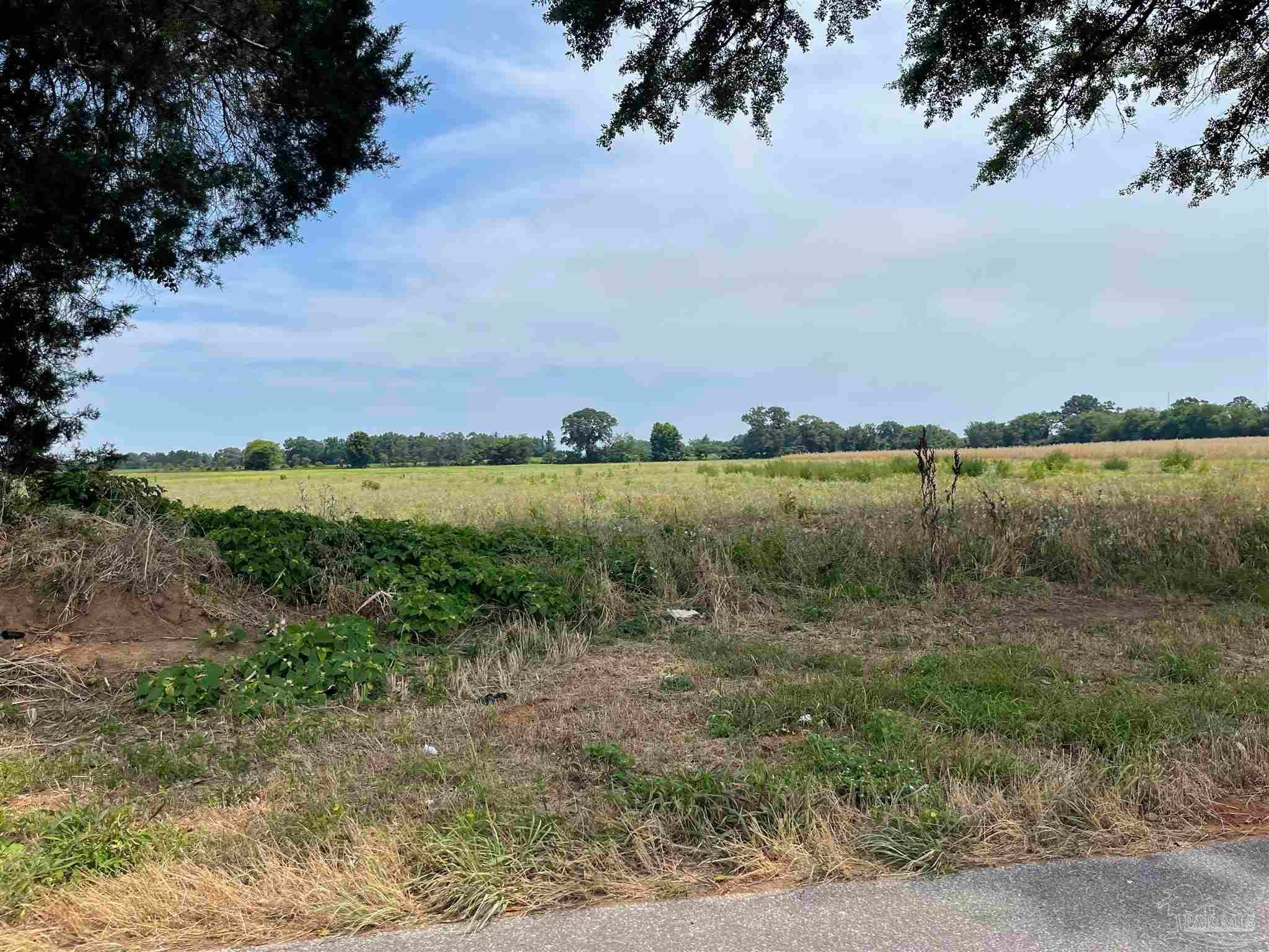 1 Shell Rd, Jay, FL 32565 — photo 3