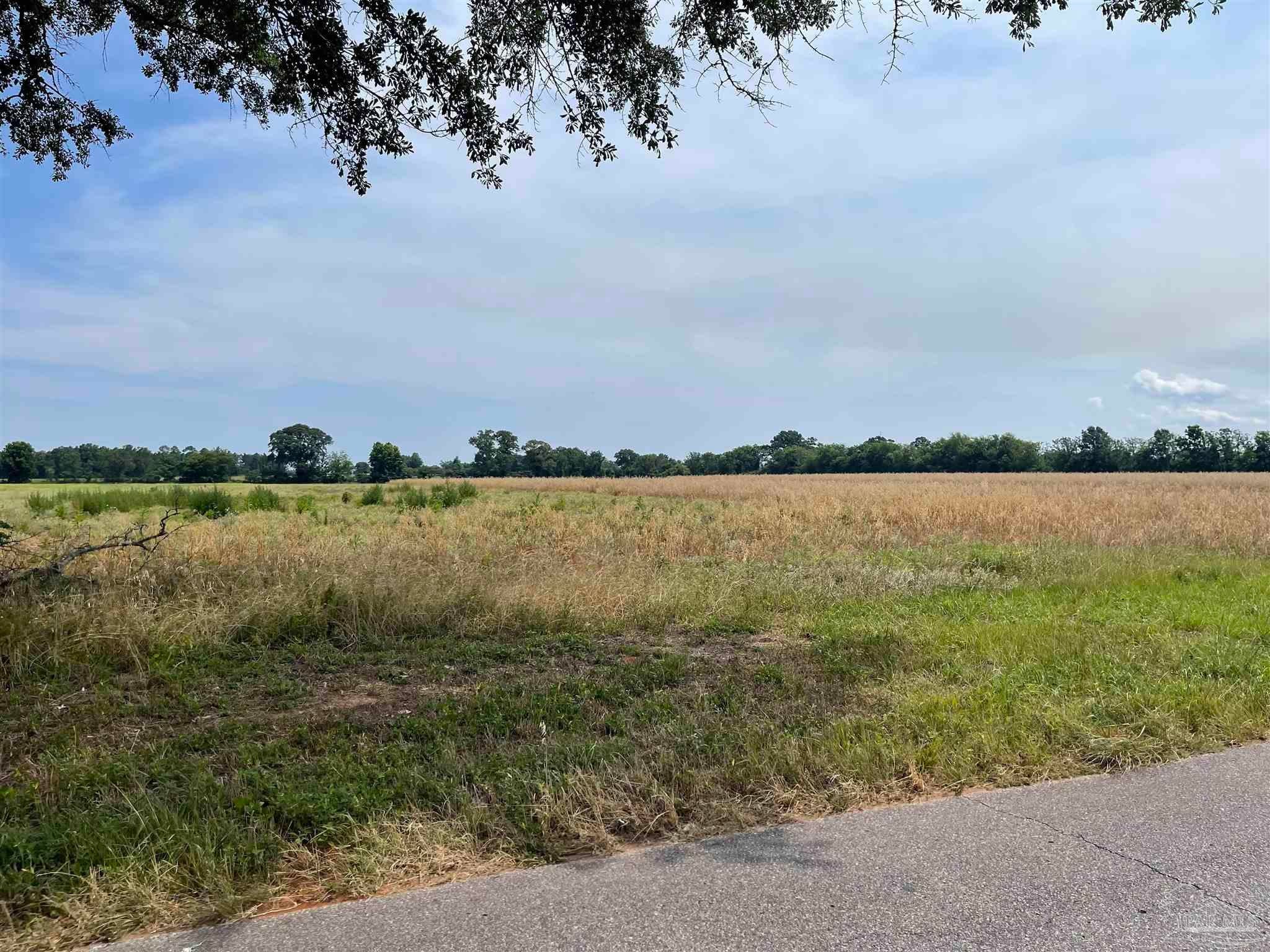 0 Shell Rd, Jay, FL 32565 — photo 3