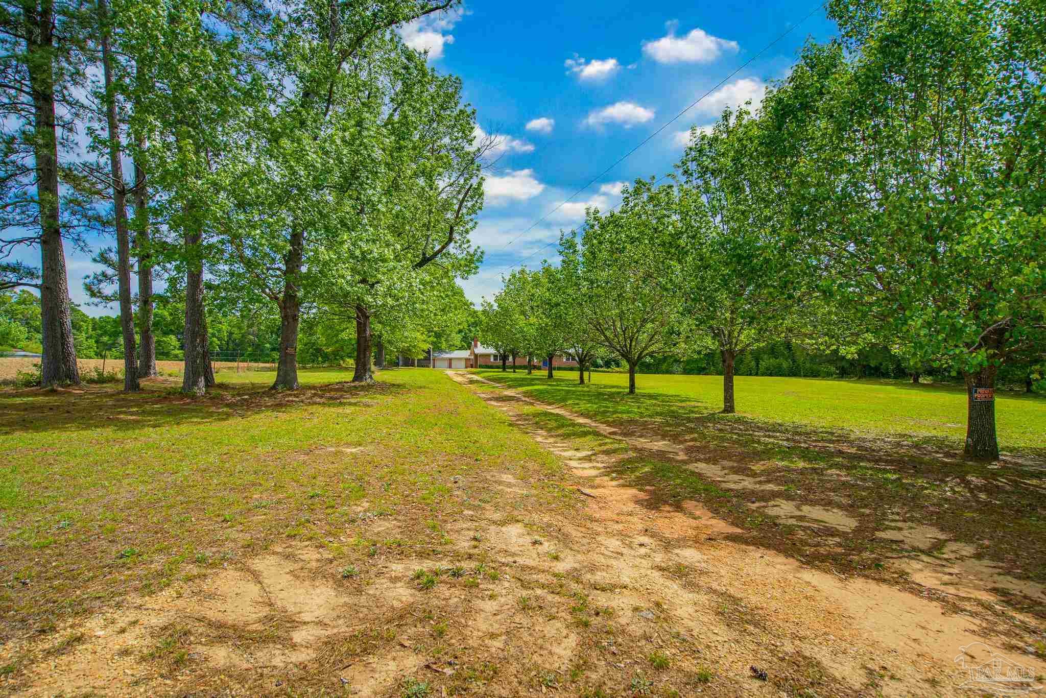 6536 Daniel Griffis Road, Jay, FL 32565 — photo 2