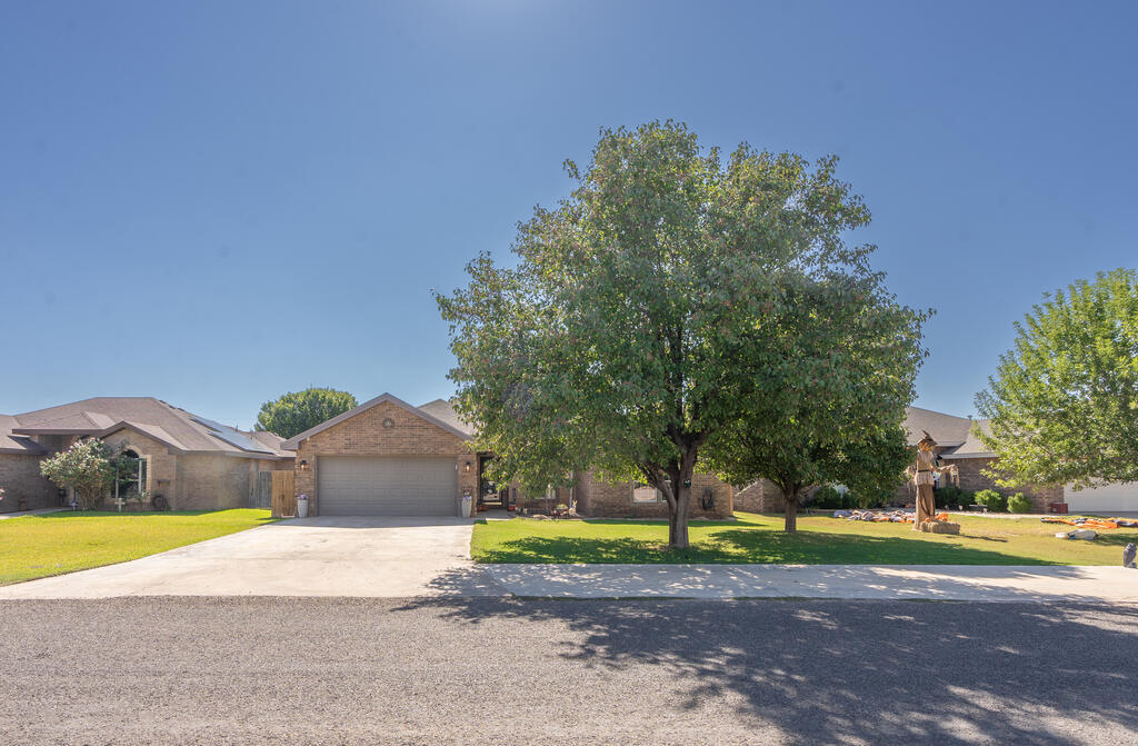 1804 Washita — photo