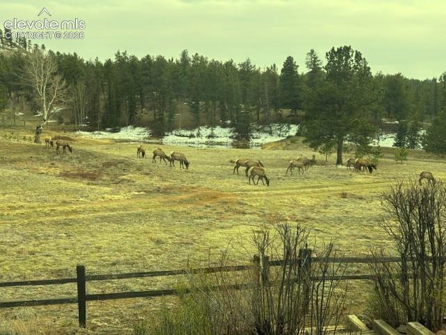 Home in Lake George, CO 80827 — photo 3