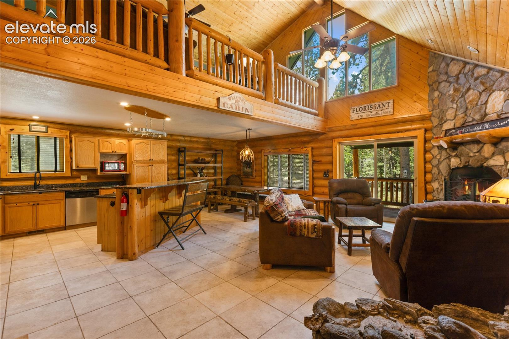 734 Kutsu Ridge Road, Florissant, CO 80816 — photo 3