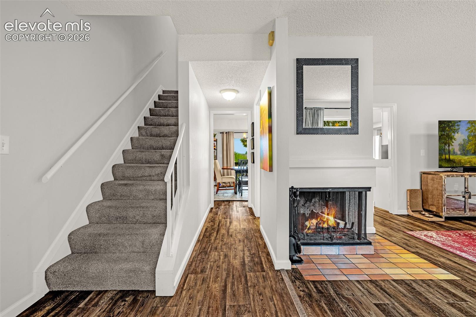 313 Raspberry Lane, Monument, CO 80132 — photo 3