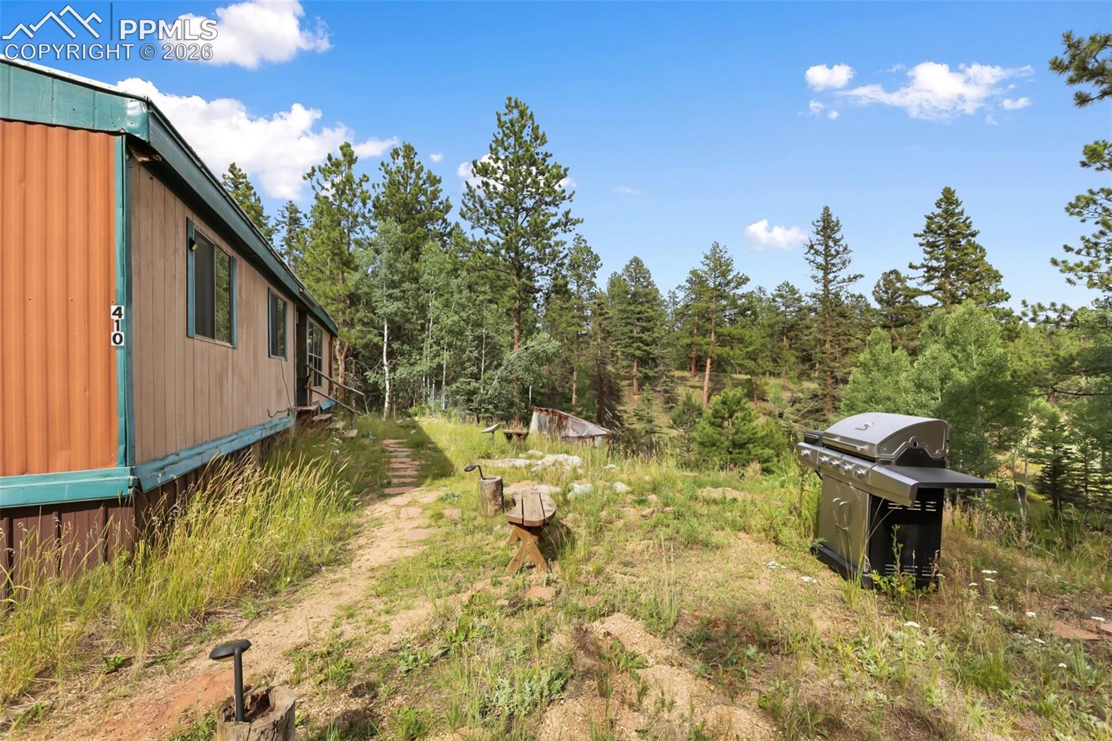 410 Rangeview Road, Divide, CO 80814 — photo 2