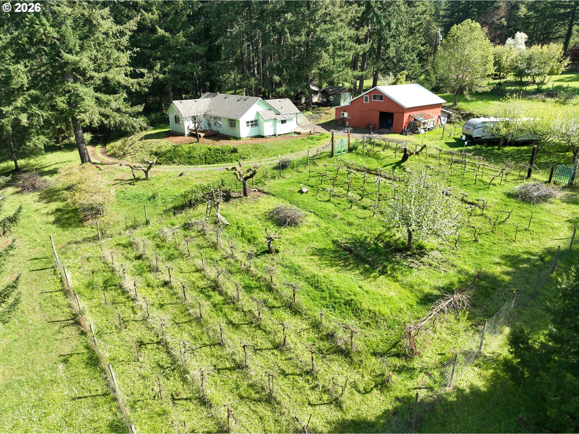 40168 Booth Kelly Rd, Springfield, OR 97478 — photo 2