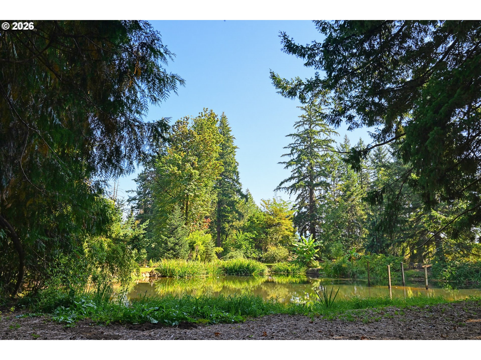 16990 SE Foster Rd, Gresham, OR 97080 — photo 3