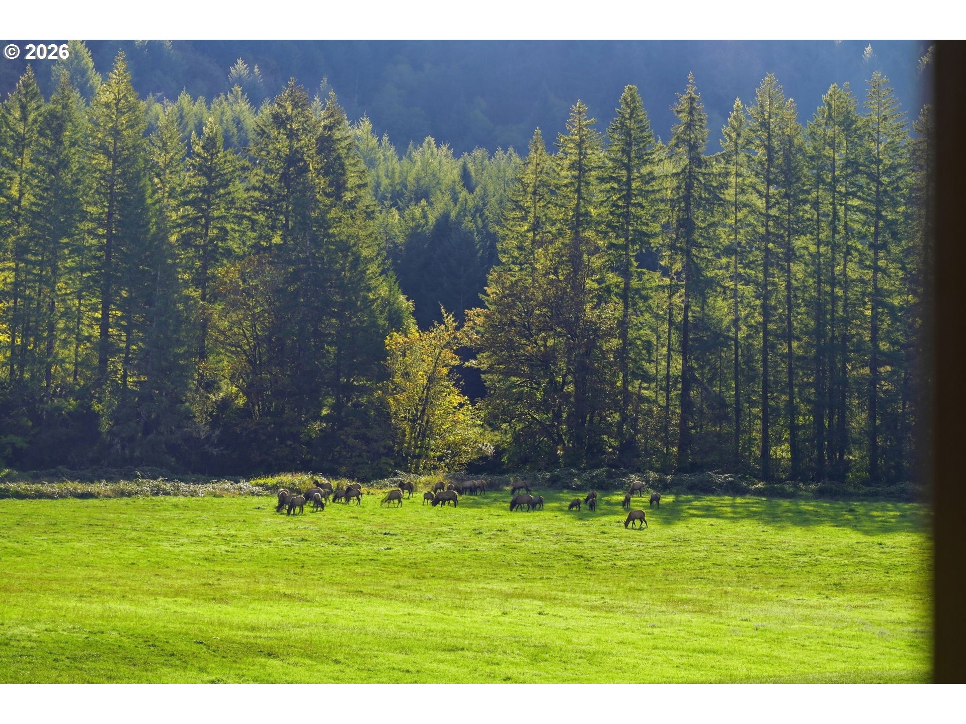 3380 N Fork Smith River Rd, Reedsport, OR 97467 — photo 3