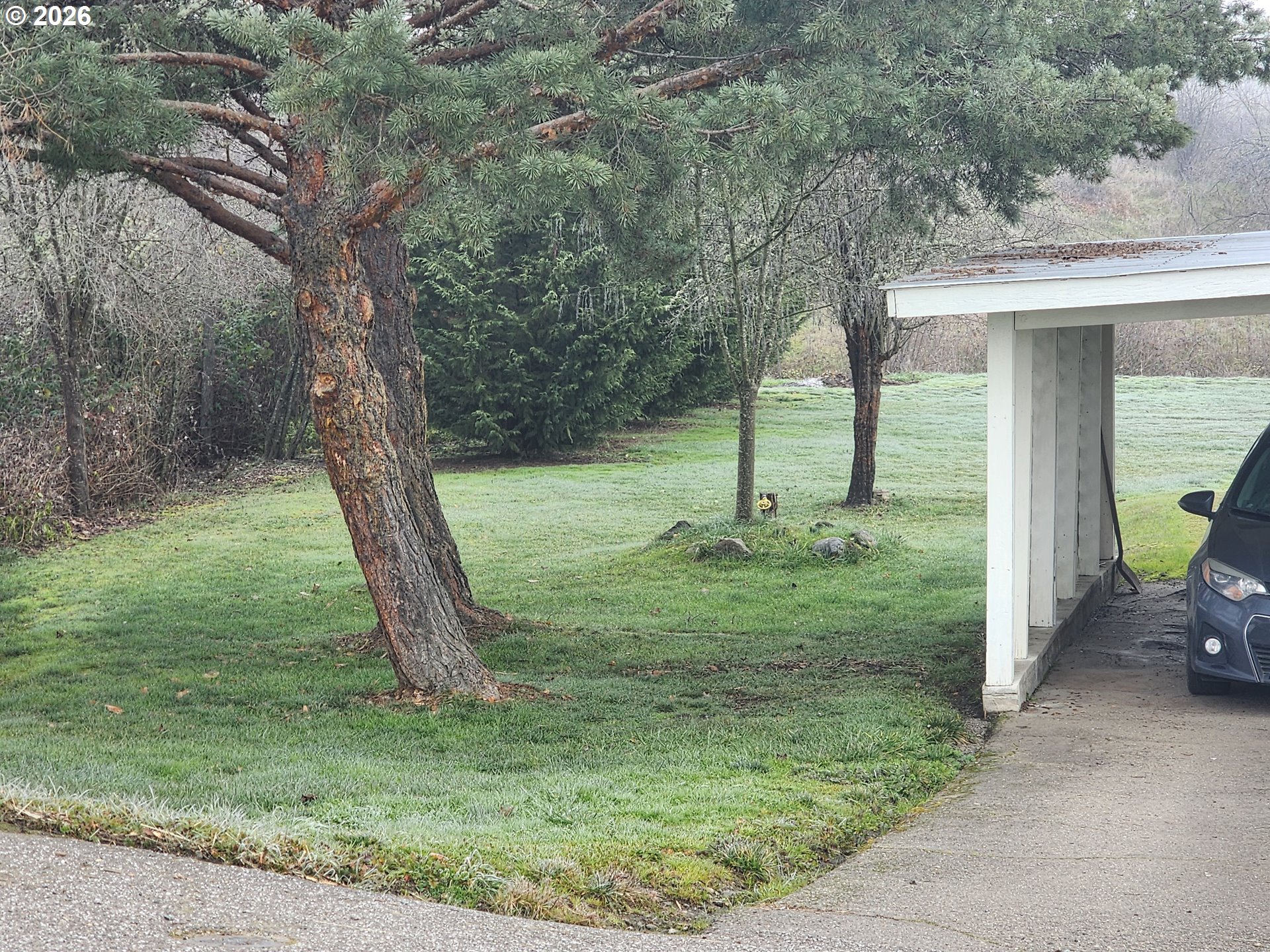 795 E St, Riddle, OR 97469 — photo 2