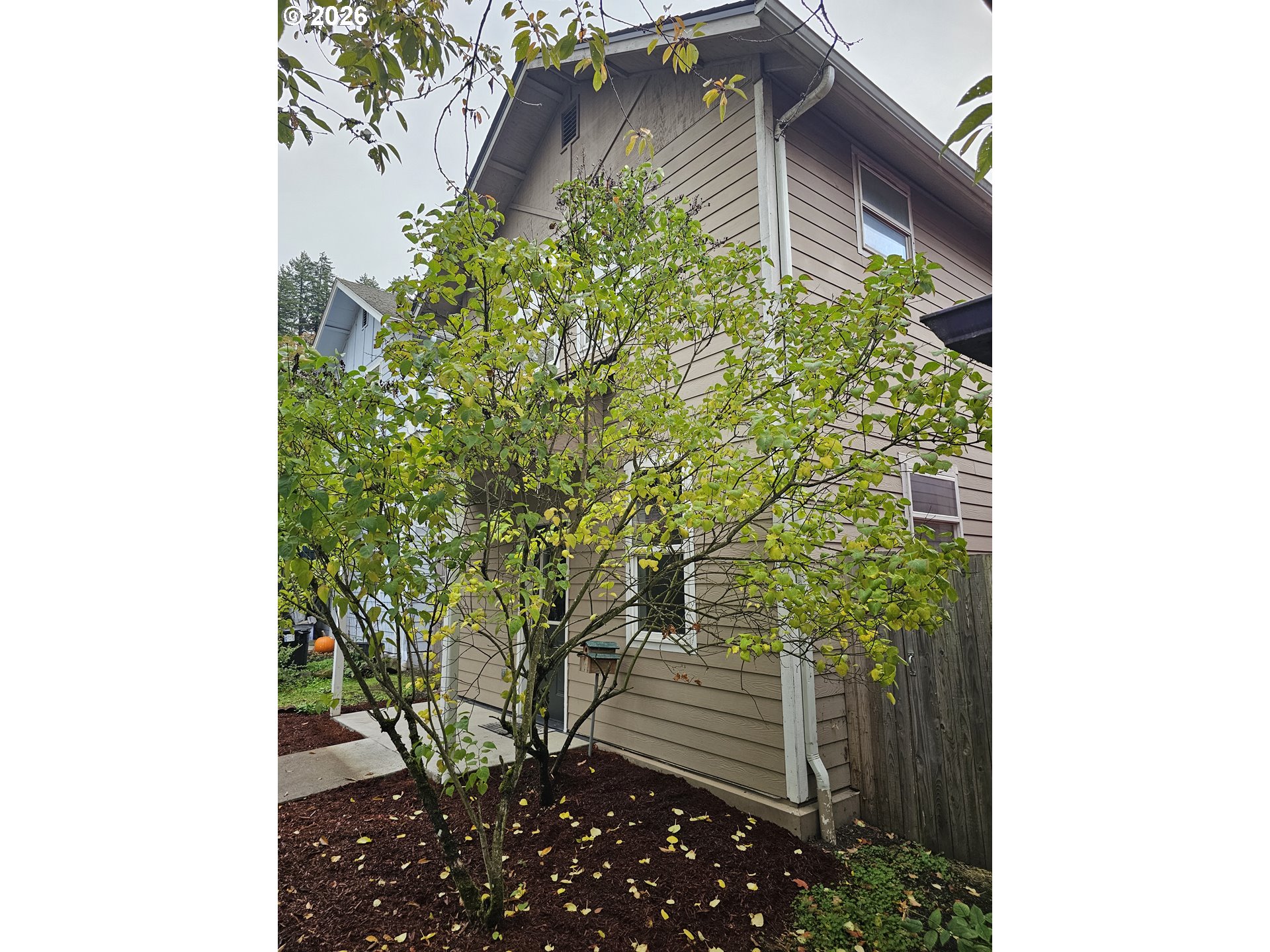 53 Lawrence St, Eugene, OR 97401 — photo 2