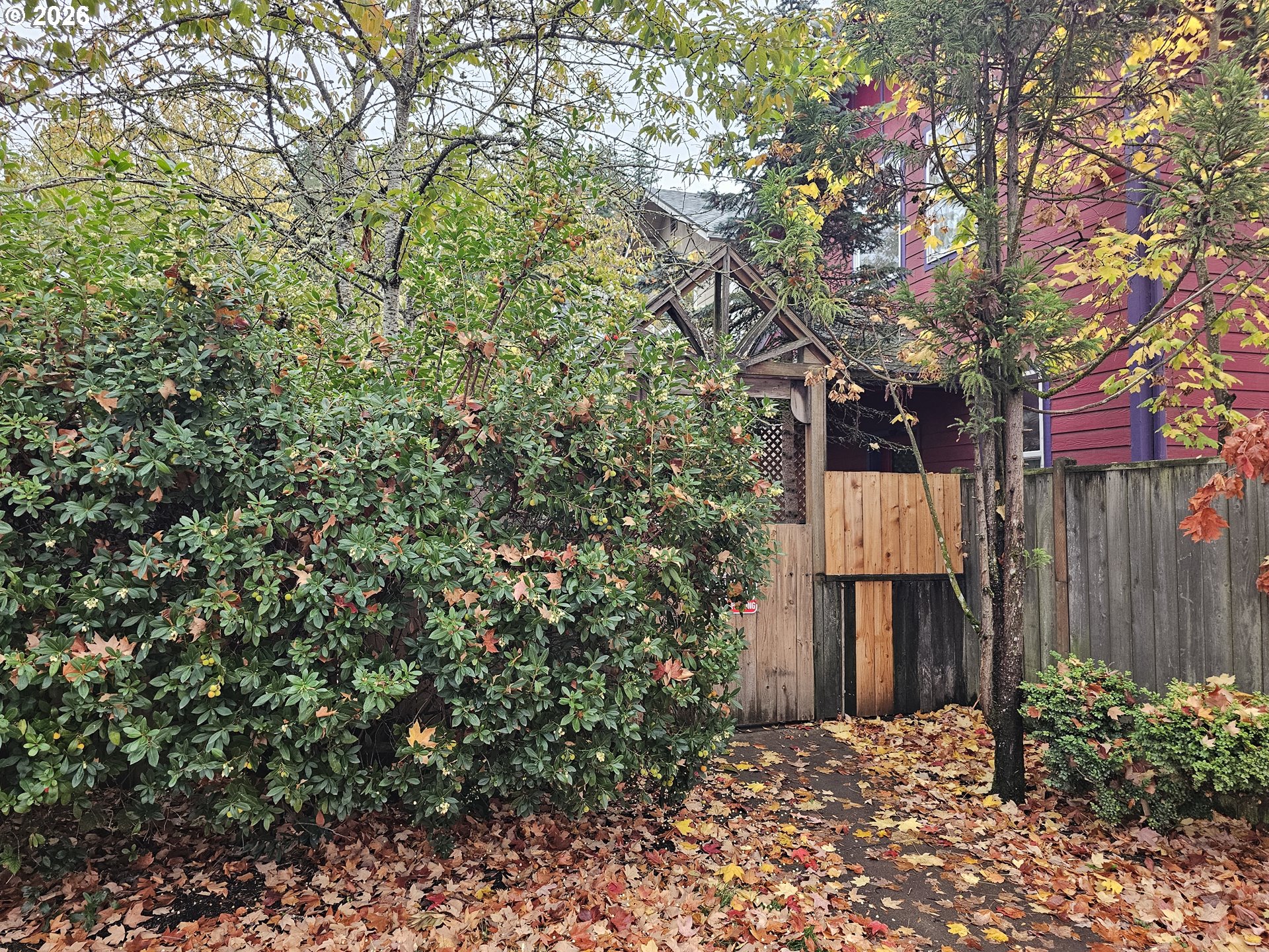 53 Lawrence St, Eugene, OR 97401 — photo 3