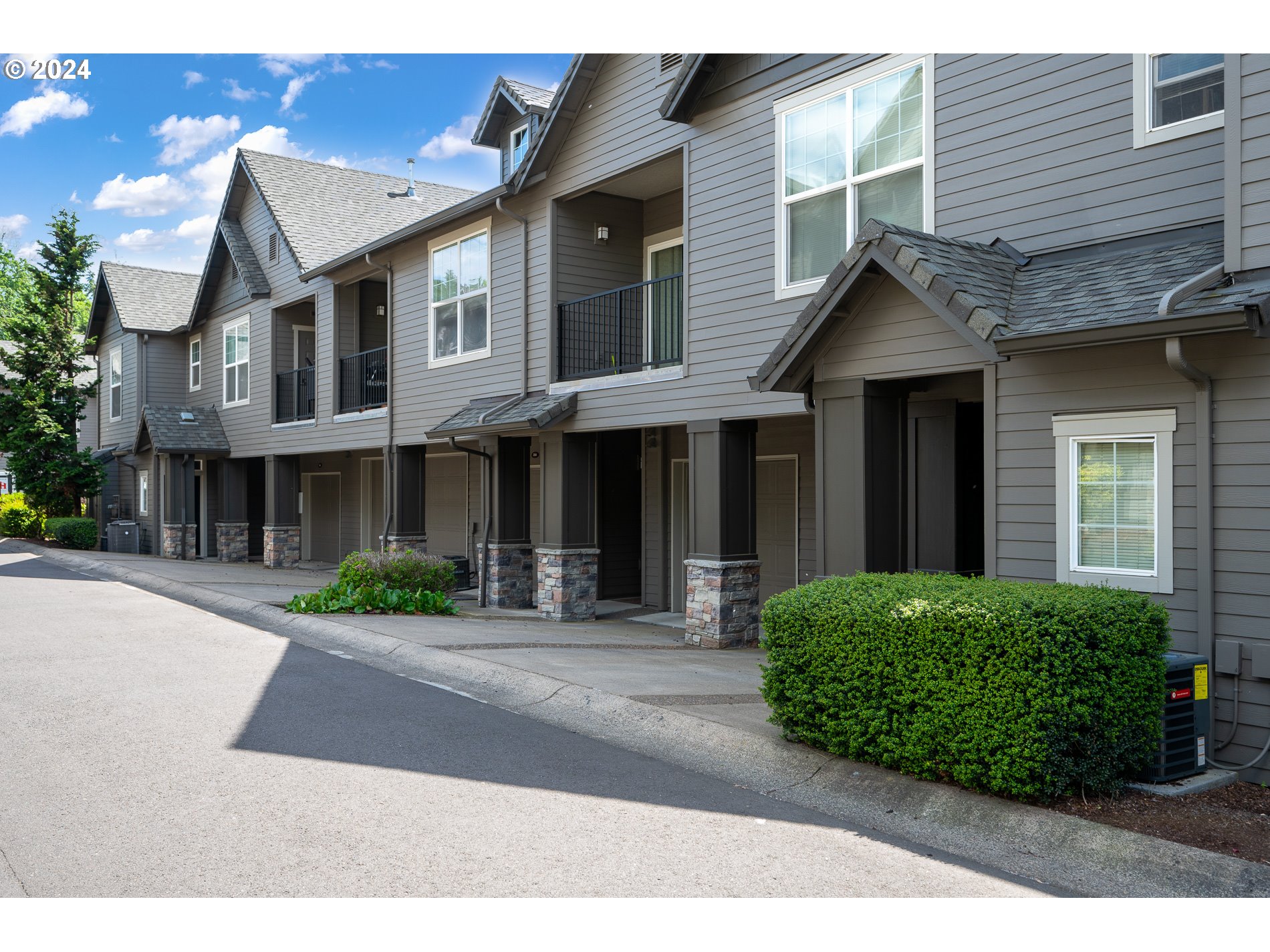 2395 Snowberry Ridge Ct — photo