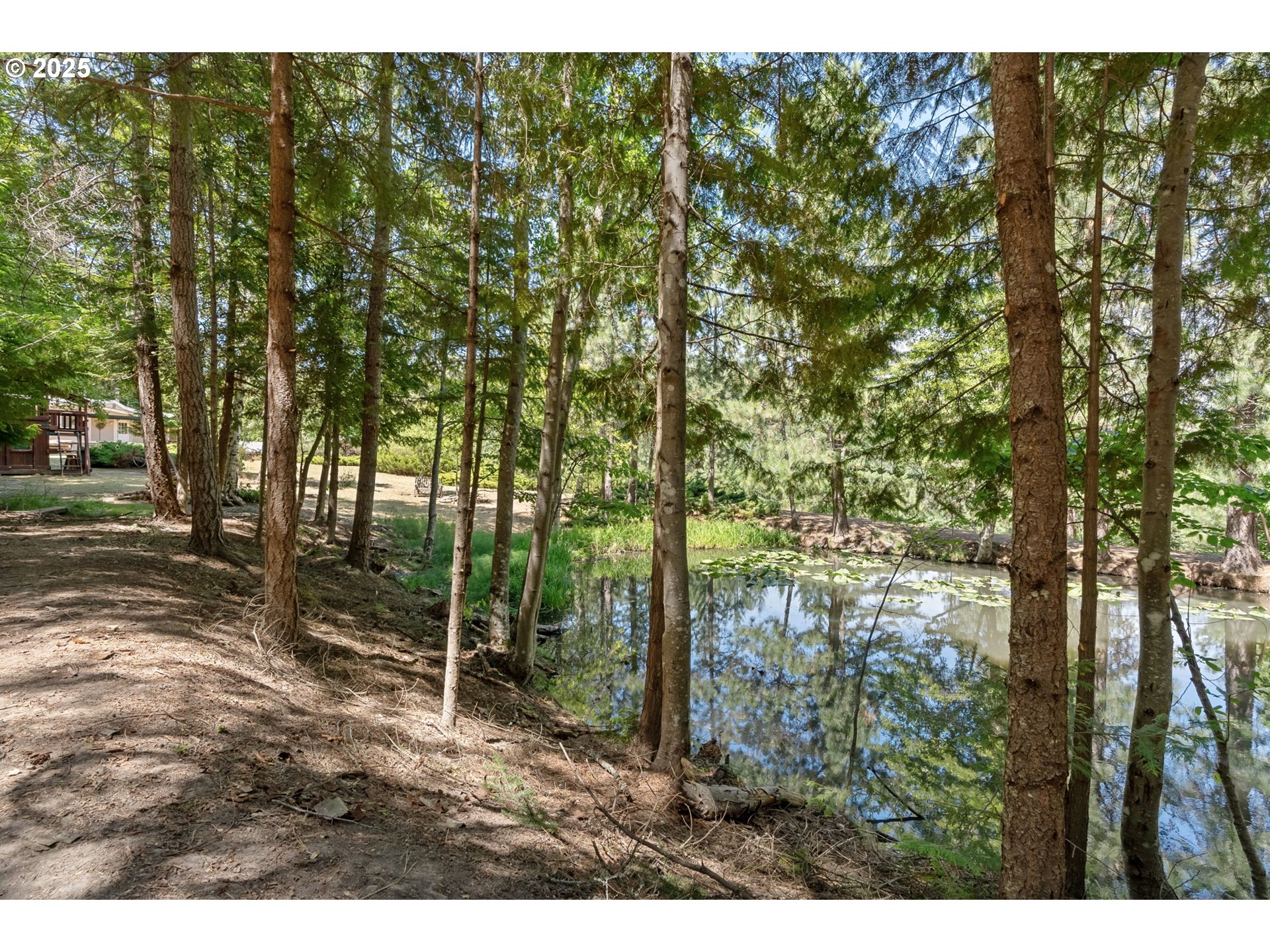 1910 PROCTOR RD, Mosier, OR 97040 — photo 3