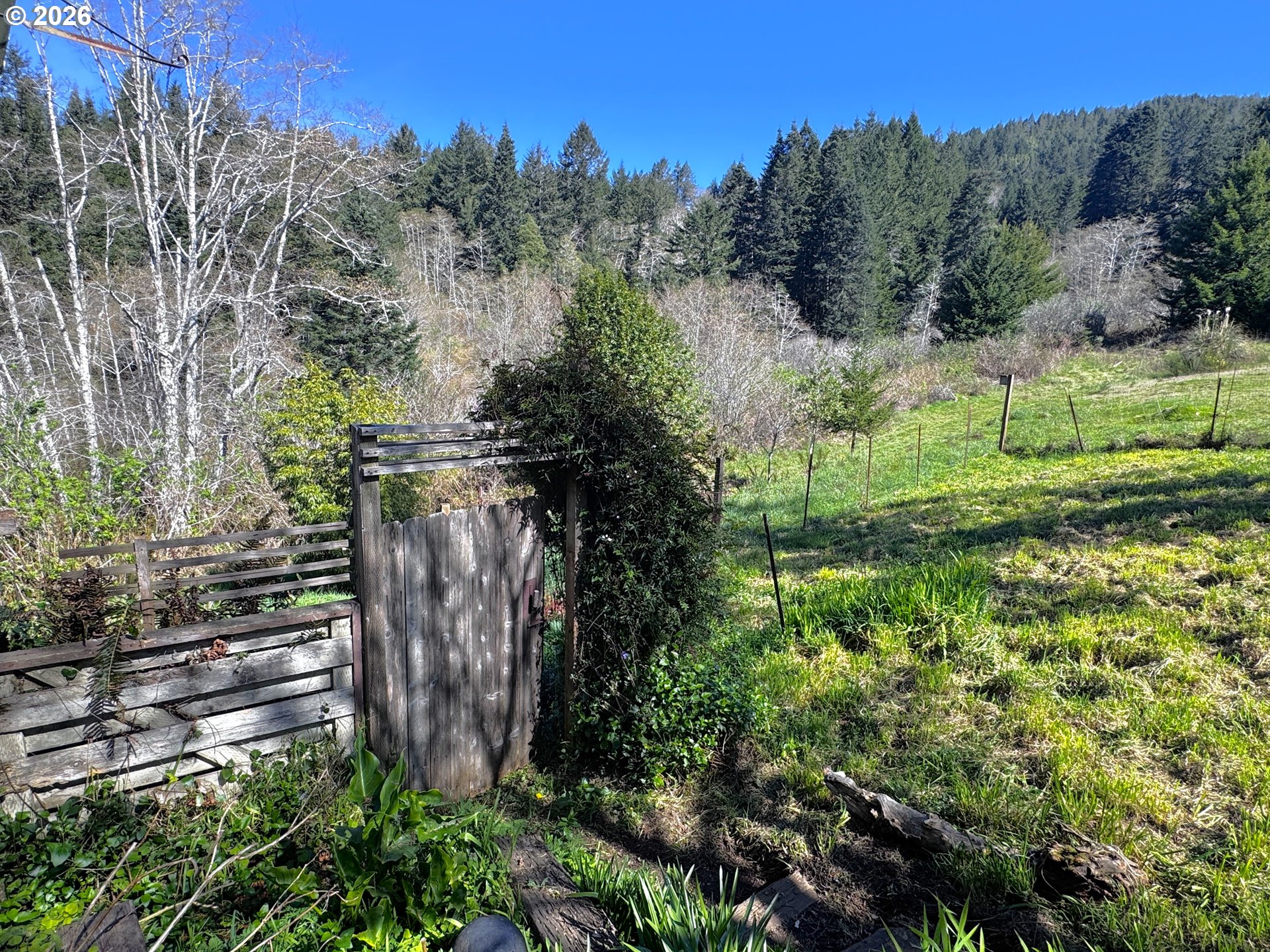 96510 Martin Ranch Rd, Brookings, OR 97415 — photo 3
