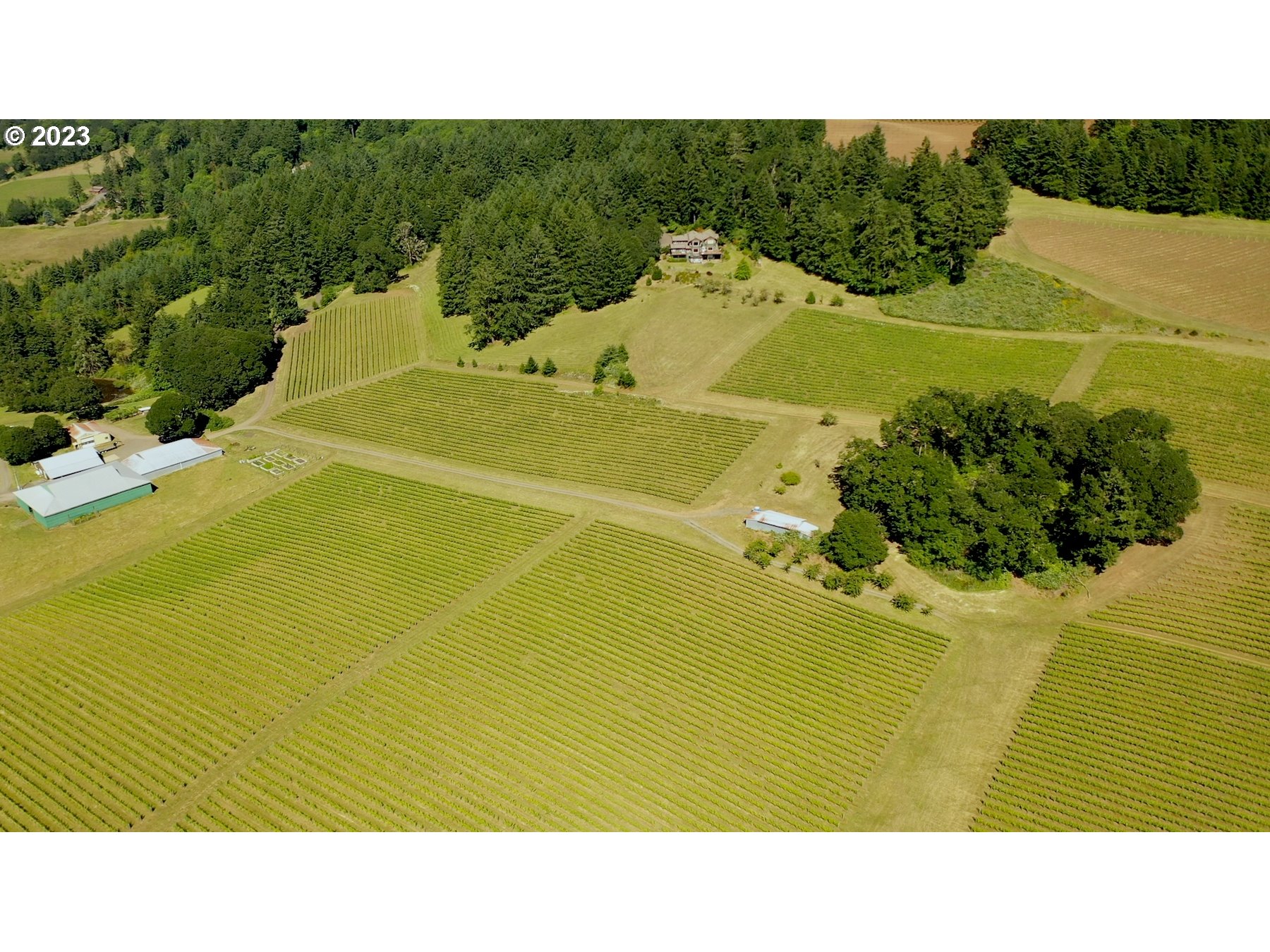 7820 SE Amity Rd, Amity, OR 97101 — photo 2
