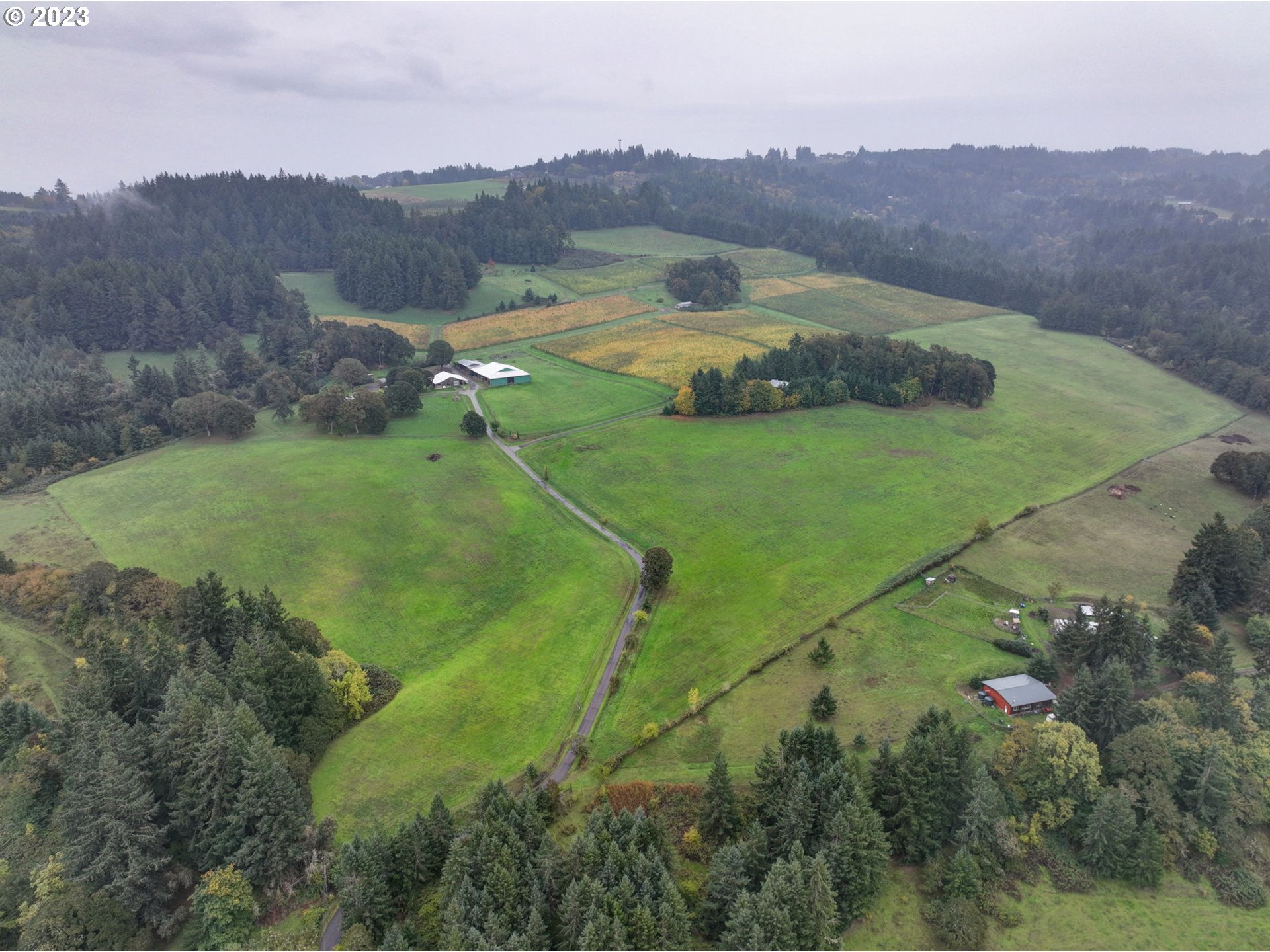 7820 SE Amity Rd, Amity, OR 97101 — photo 3