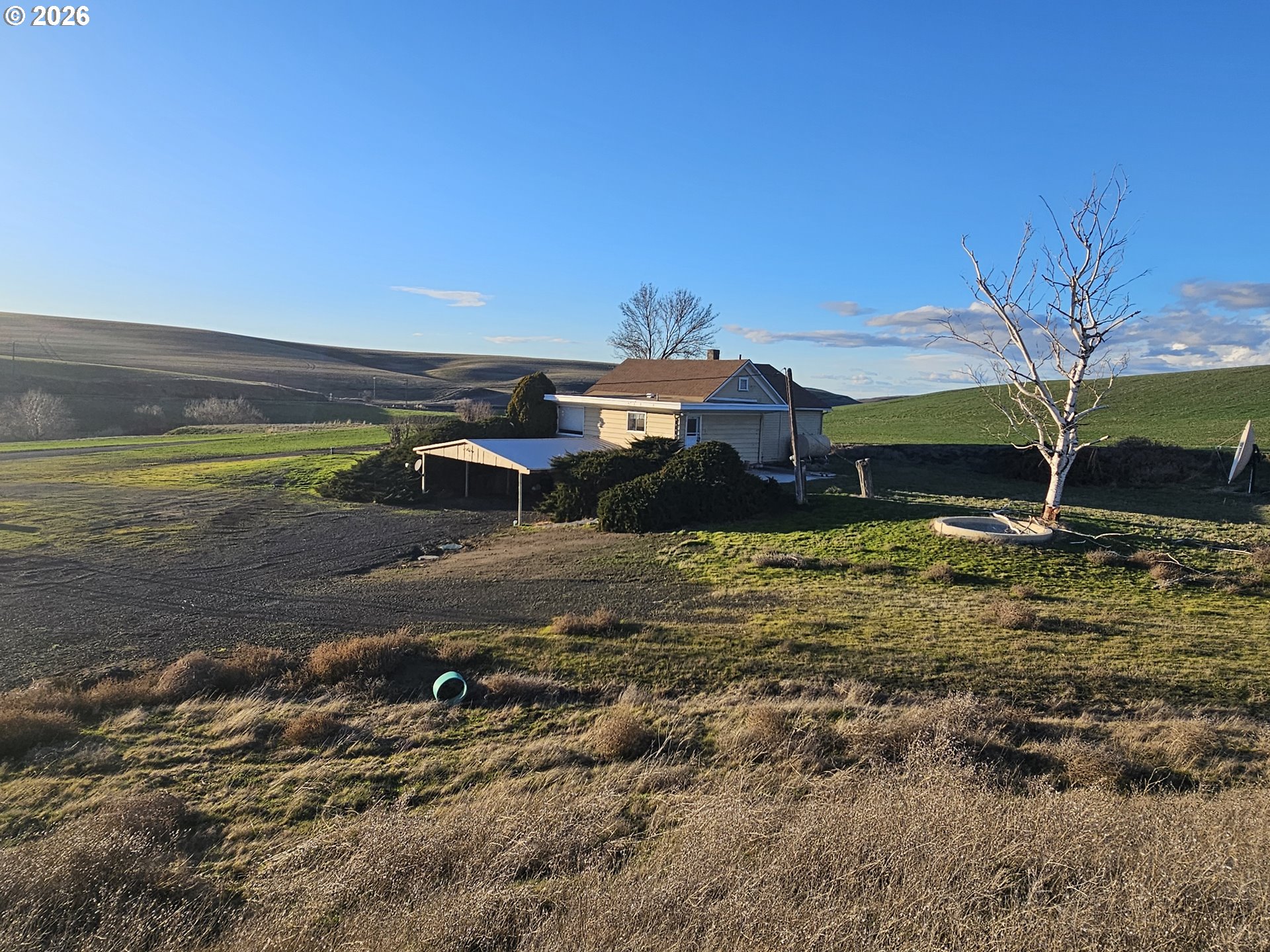 46078 Raymond Rd, Helix, OR 97835 — photo 3