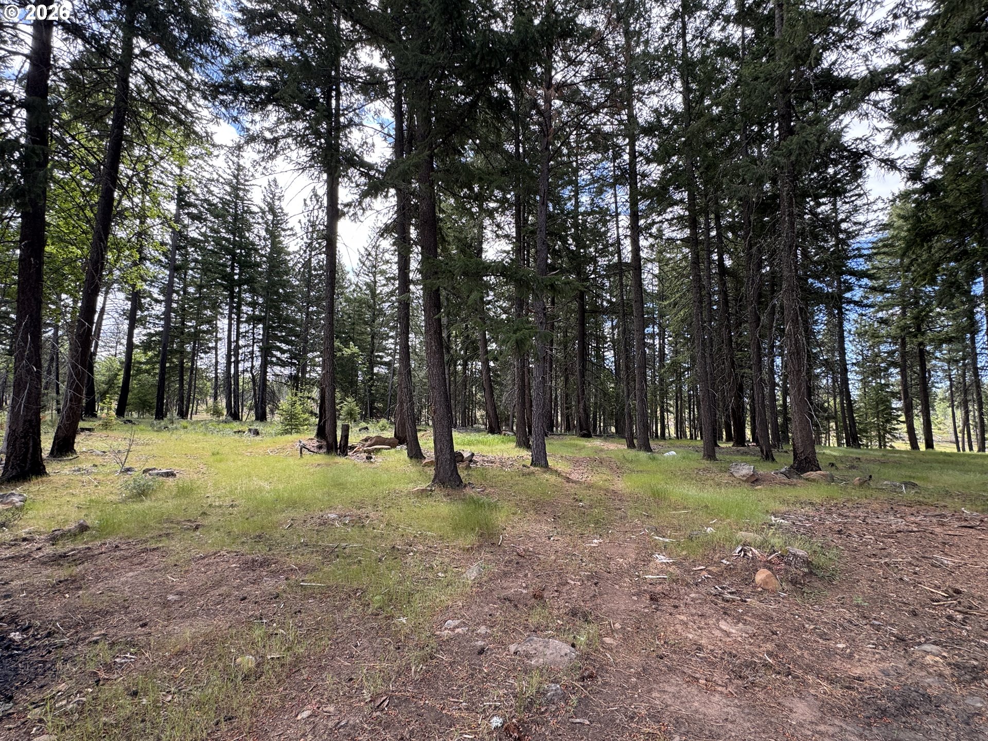 562 England Rd, Goldendale, WA 98620 — photo 2