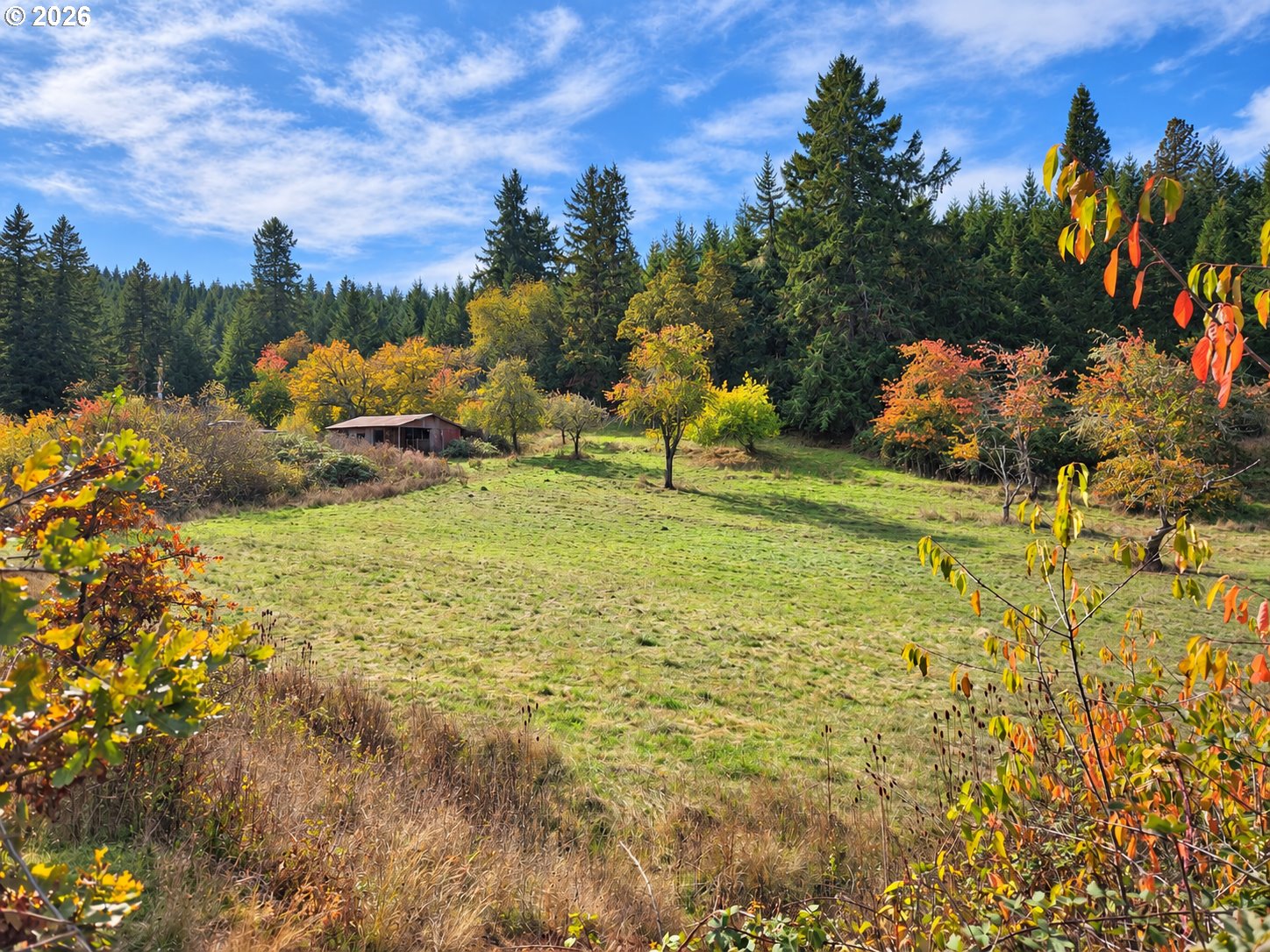 85266 Chezem Rd, Eugene, OR 97405 — photo 2