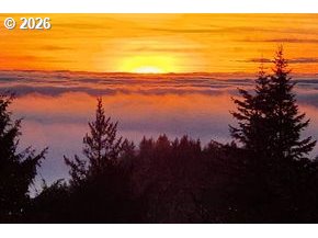 96422 Alder Ridge Rd, Brookings, OR 97415 — photo 2