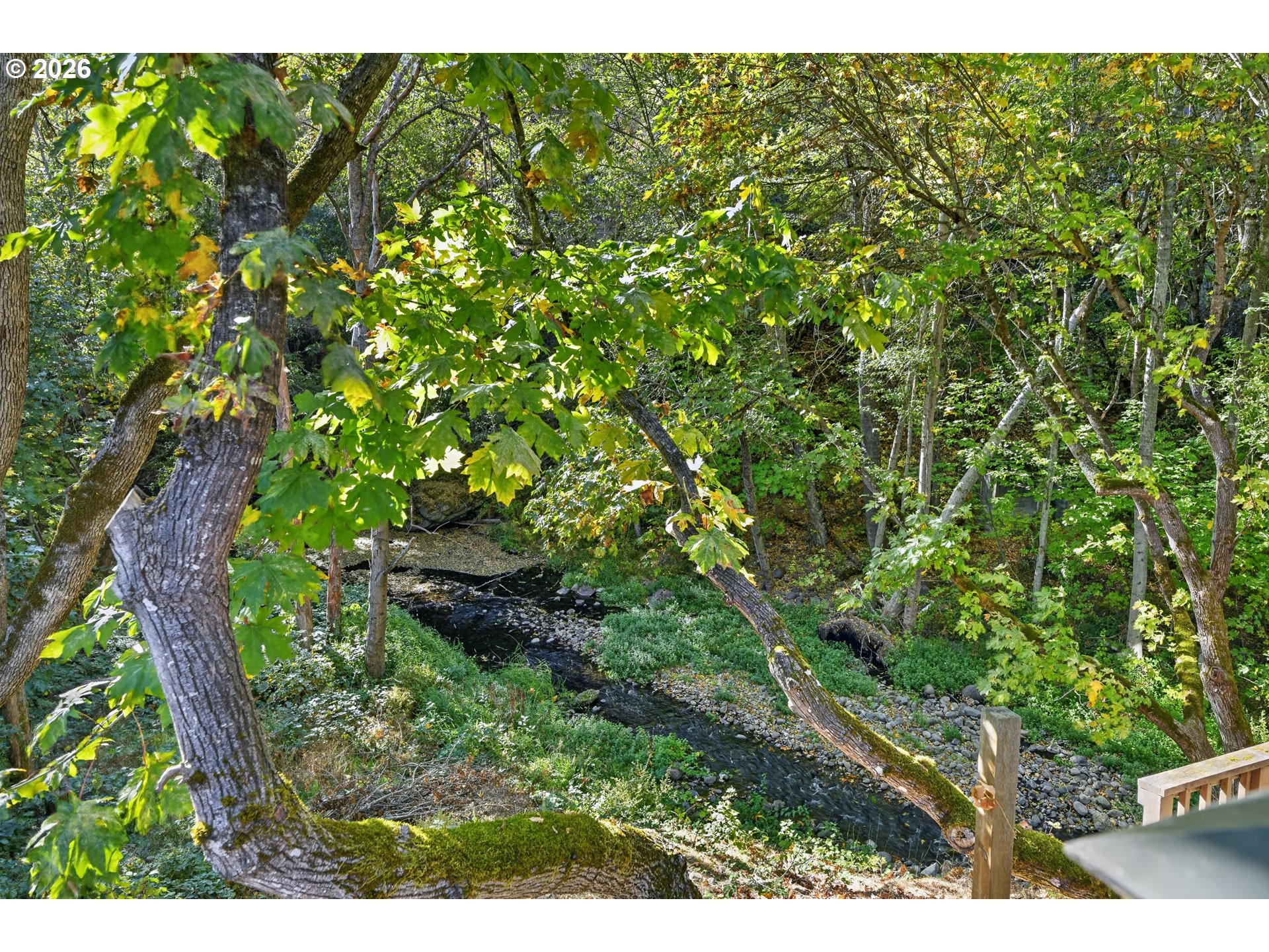 585 Carroll Rd, Mosier, OR 97040 — photo 3