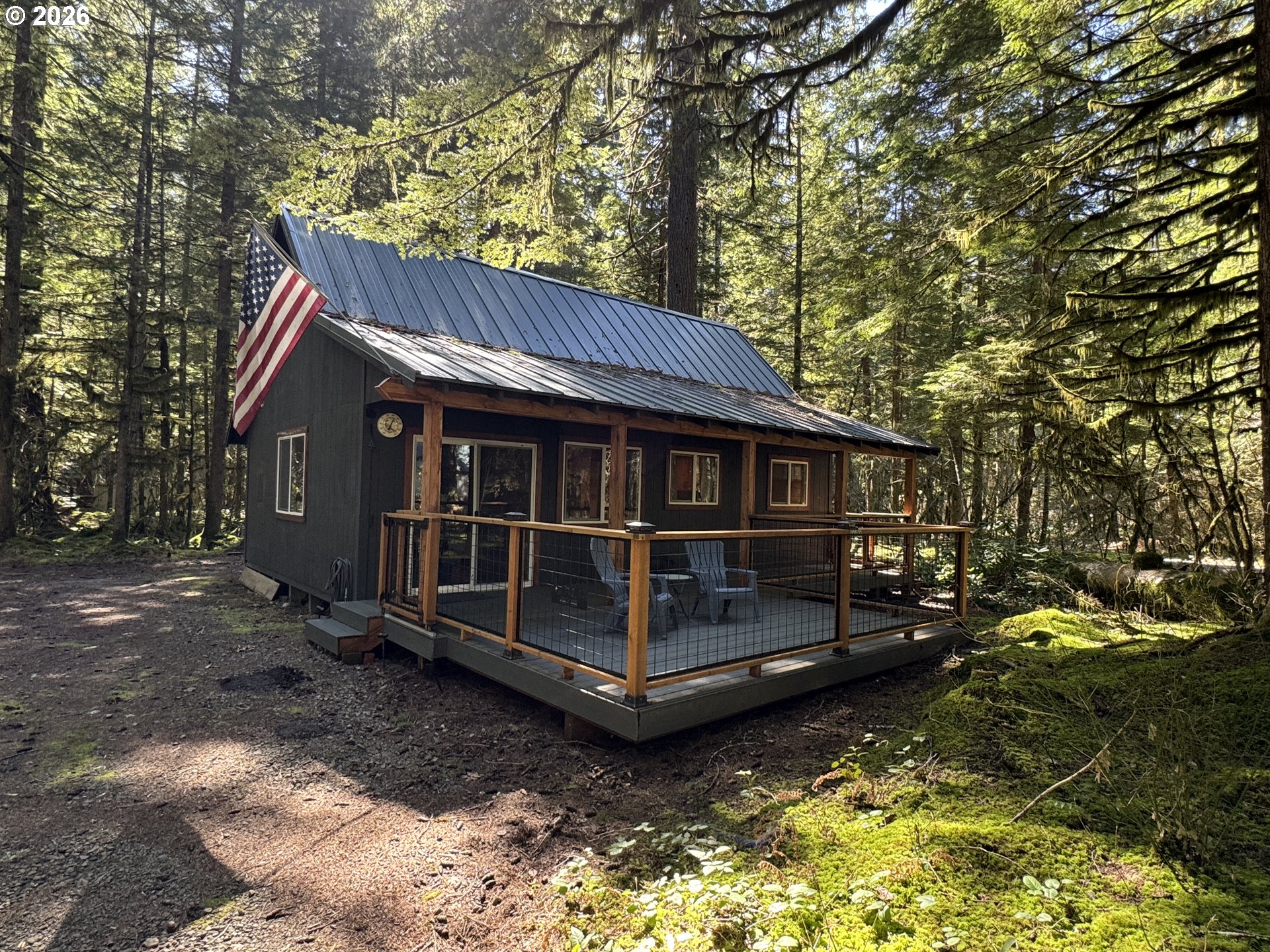Cabin 61 Northwoods — photo